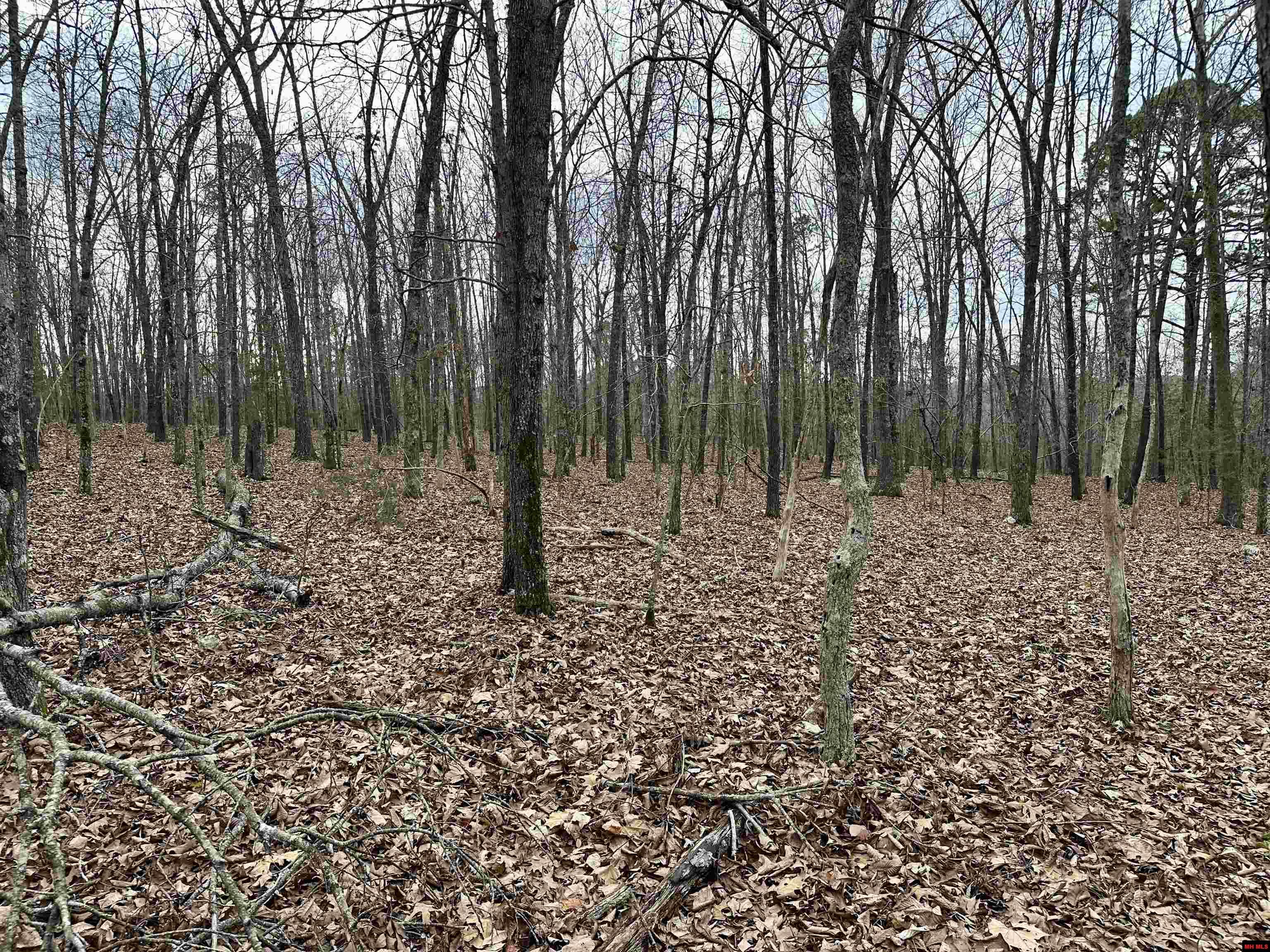 001-09782-000 Redbird Lane