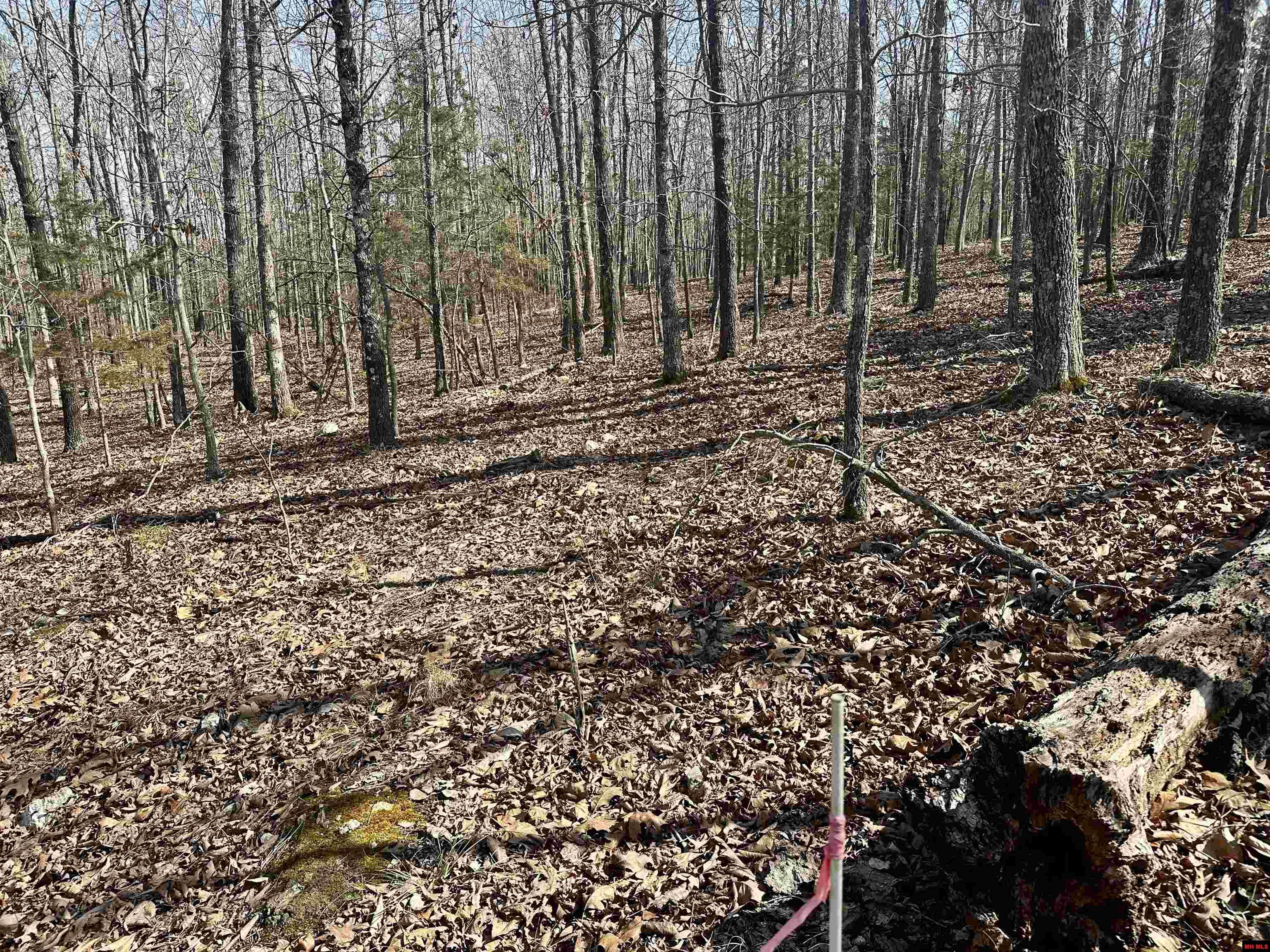 001-09782-000 Redbird Lane