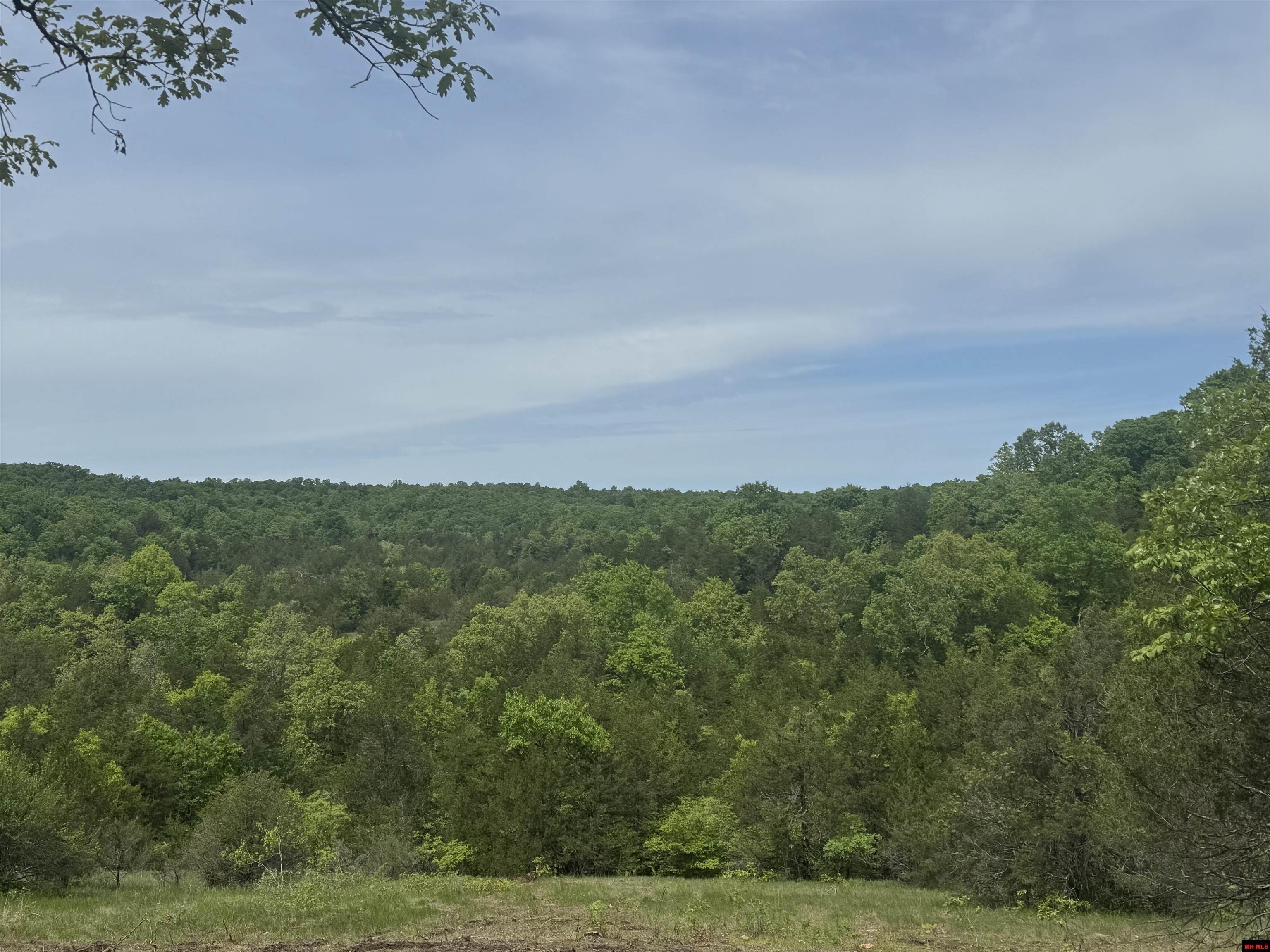 90 BRAHMA TRAIL Mountain Home, AR 72653