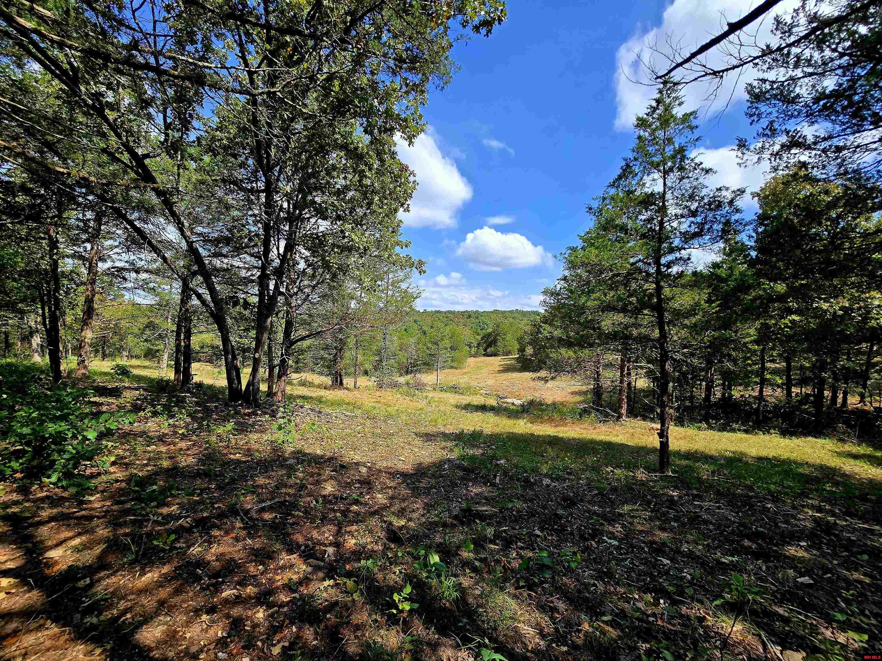 90 BRAHMA TRAIL Mountain Home, AR 72653
