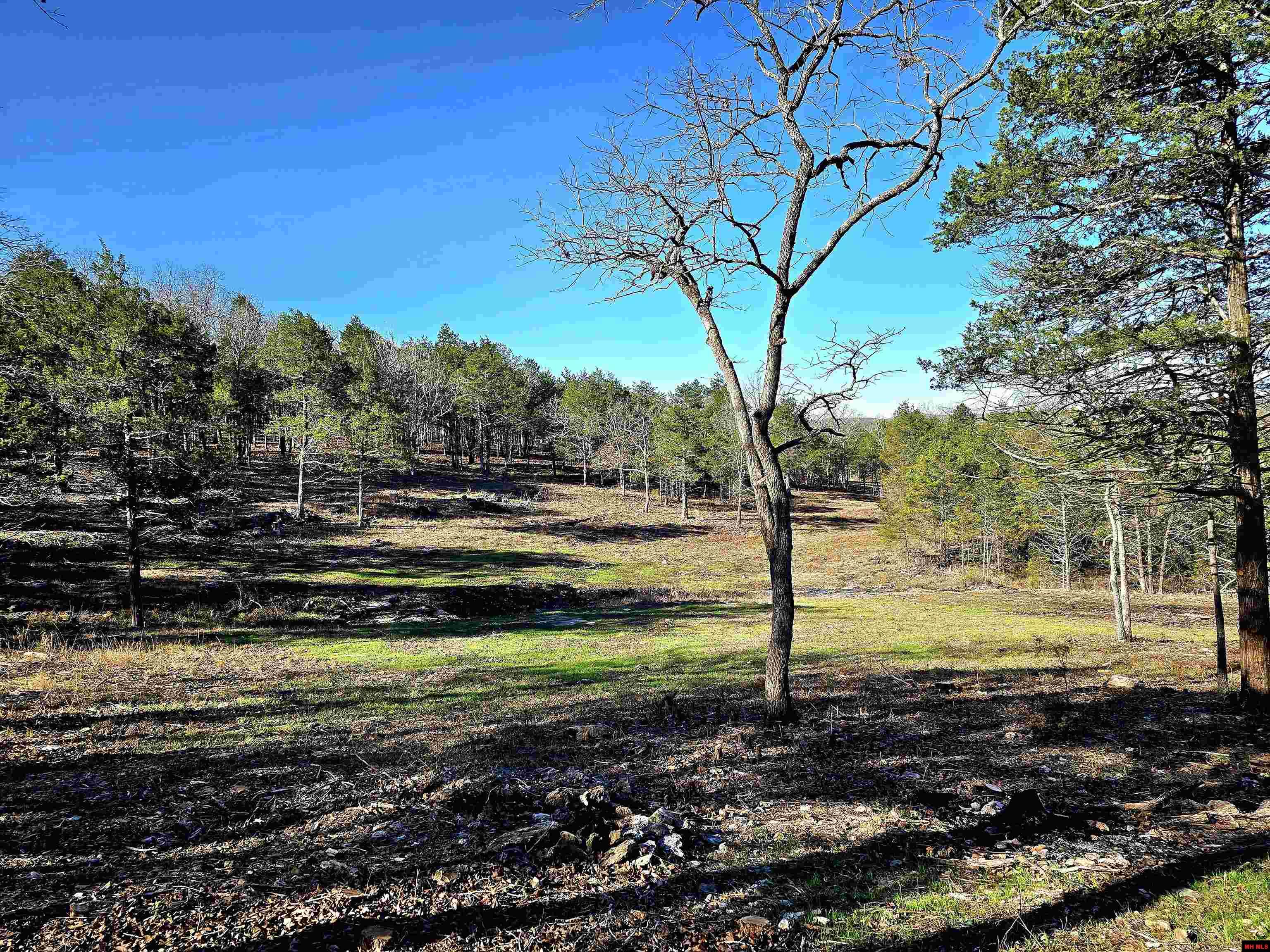 90 BRAHMA TRAIL Mountain Home, AR 72653