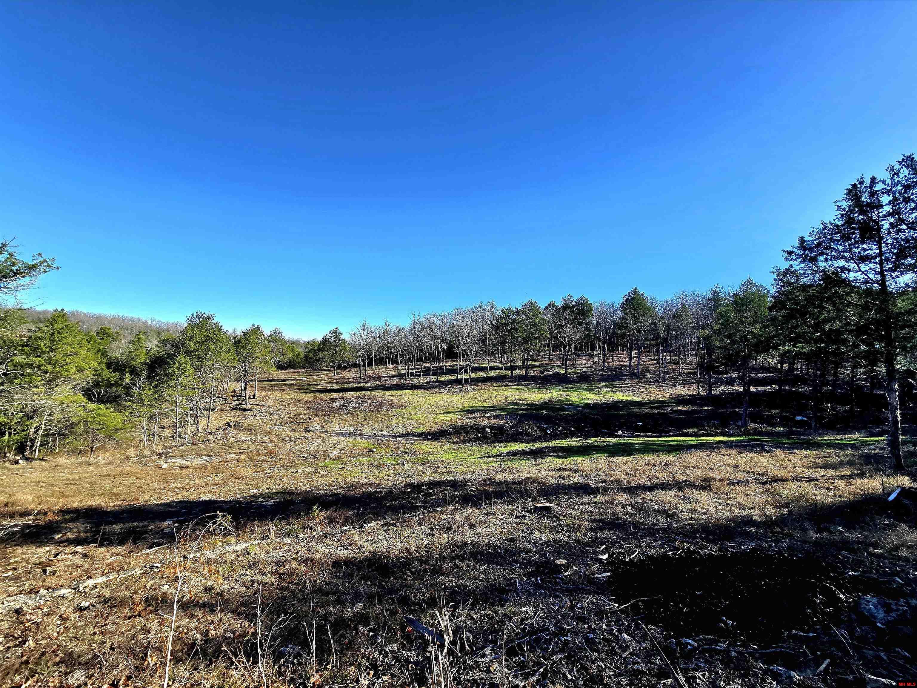 90 BRAHMA TRAIL Mountain Home, AR 72653