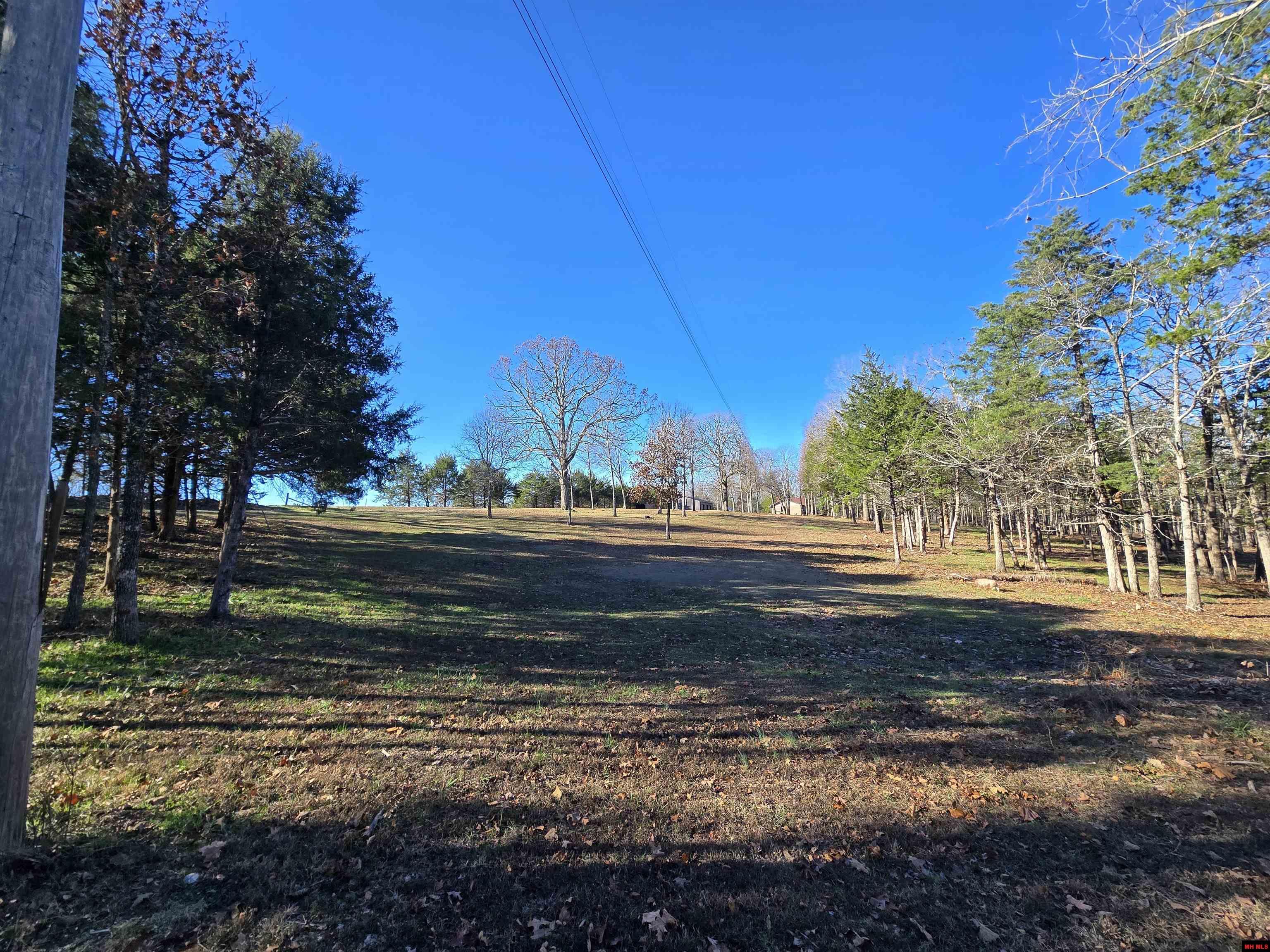 90 BRAHMA TRAIL Mountain Home, AR 72653