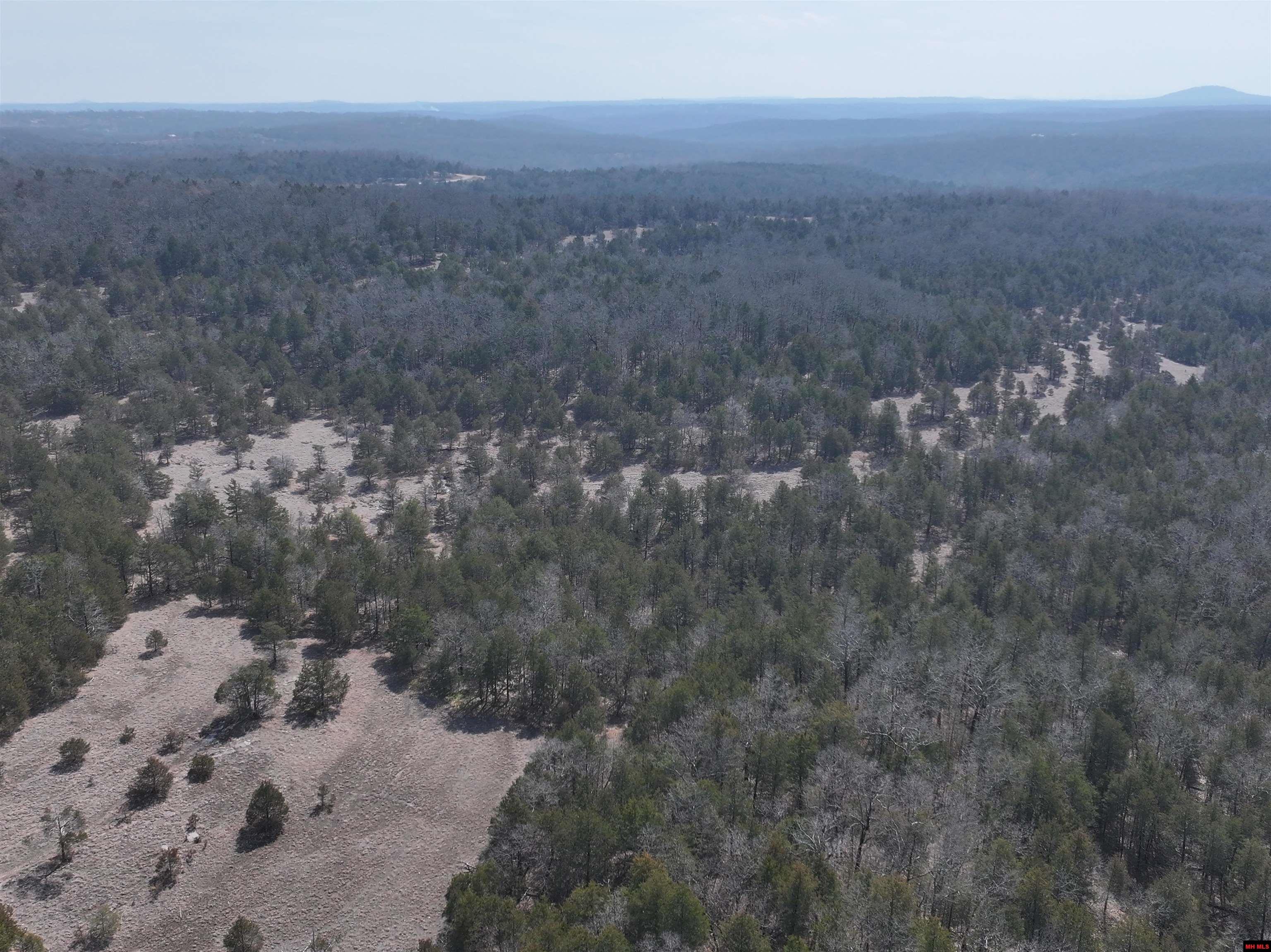 90 BRAHMA TRAIL Mountain Home, AR 72653