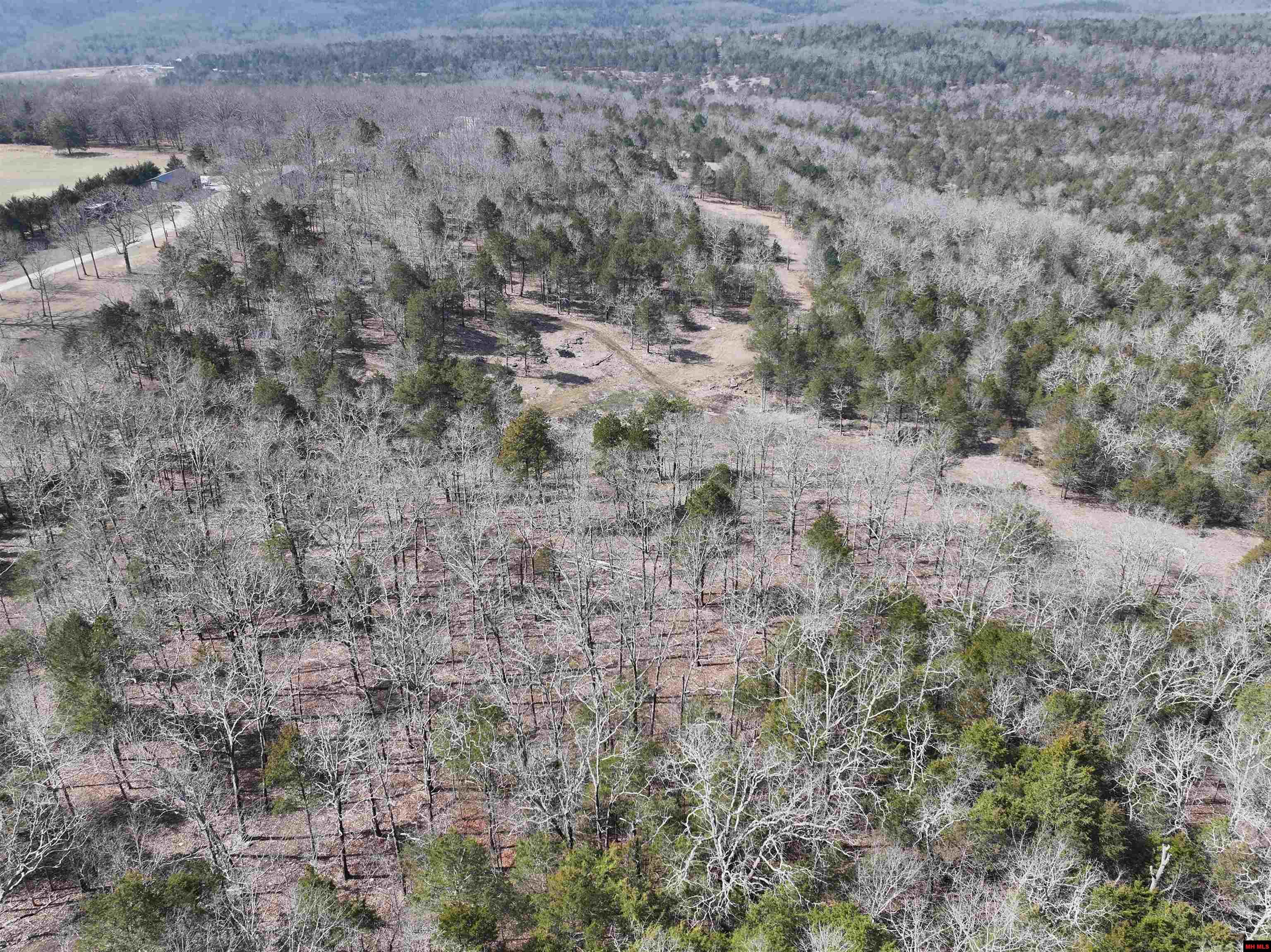 90 BRAHMA TRAIL Mountain Home, AR 72653