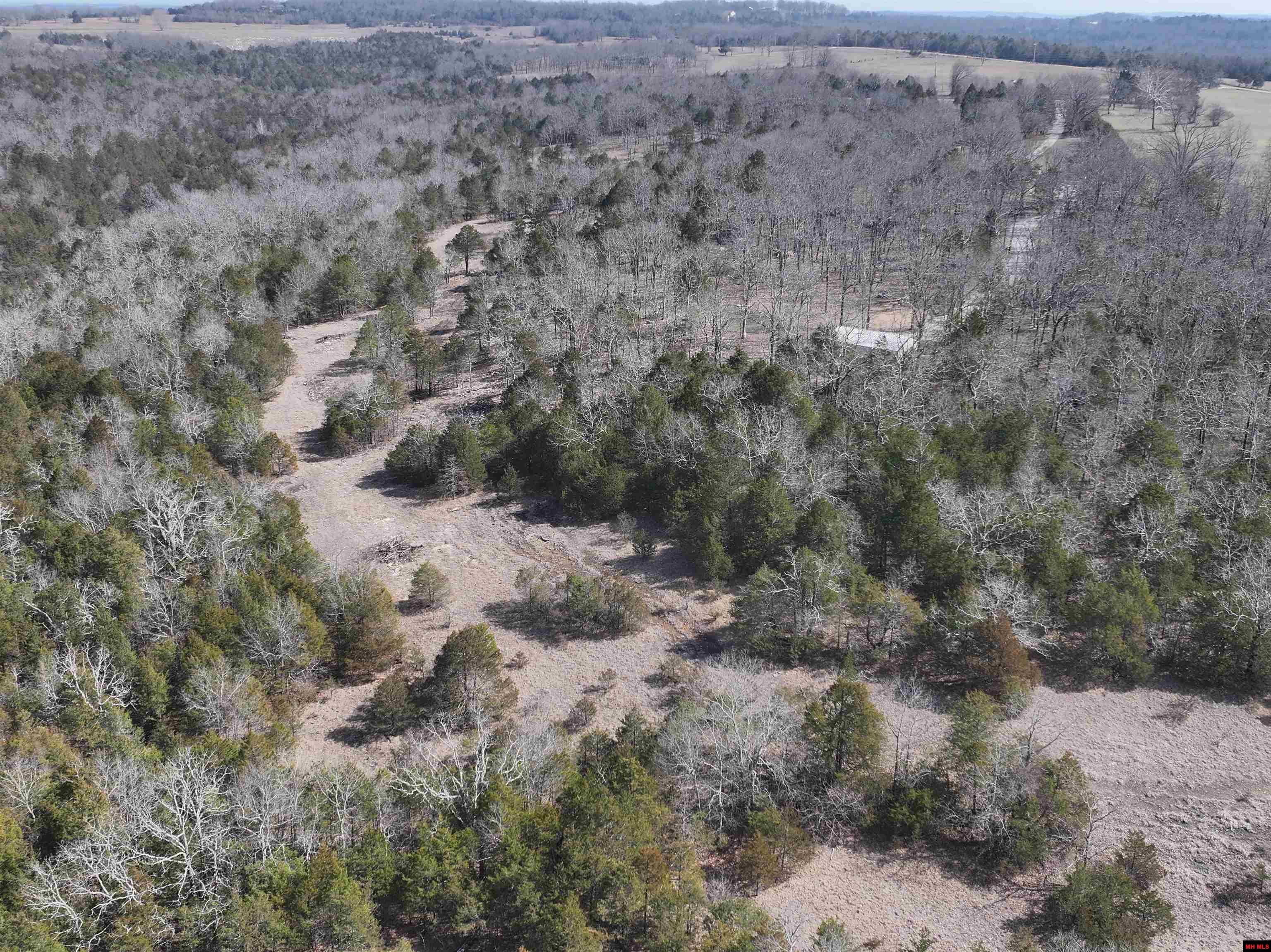 90 BRAHMA TRAIL Mountain Home, AR 72653