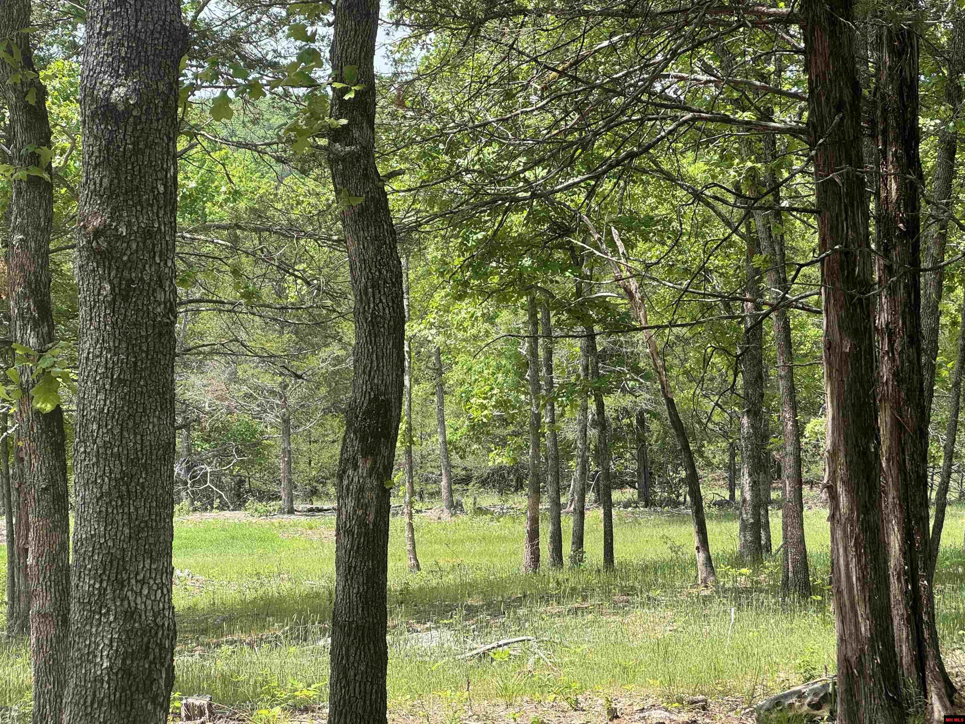 90 BRAHMA TRAIL Mountain Home, AR 72653