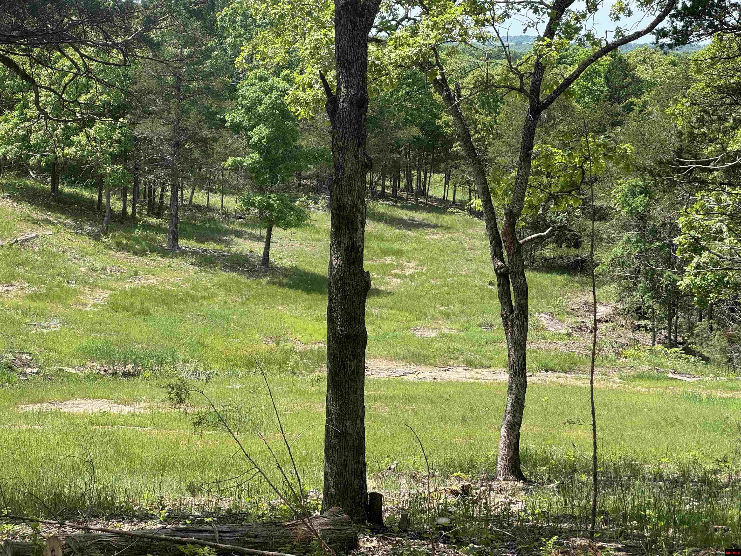 90 BRAHMA TRAIL Mountain Home, AR 72653