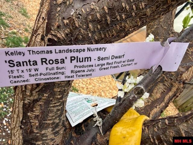 608 Wedgewood Circle