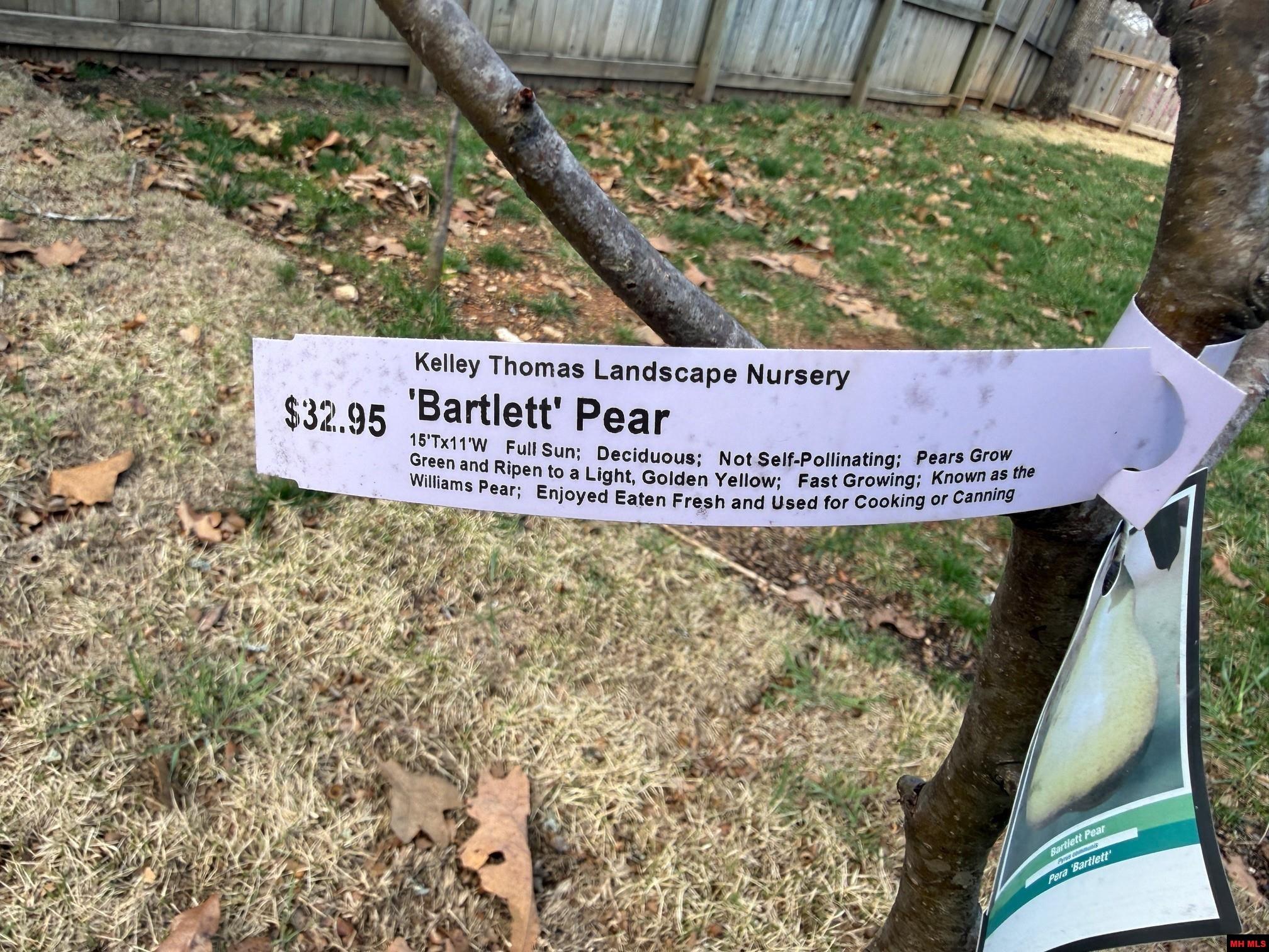 608 Wedgewood Circle