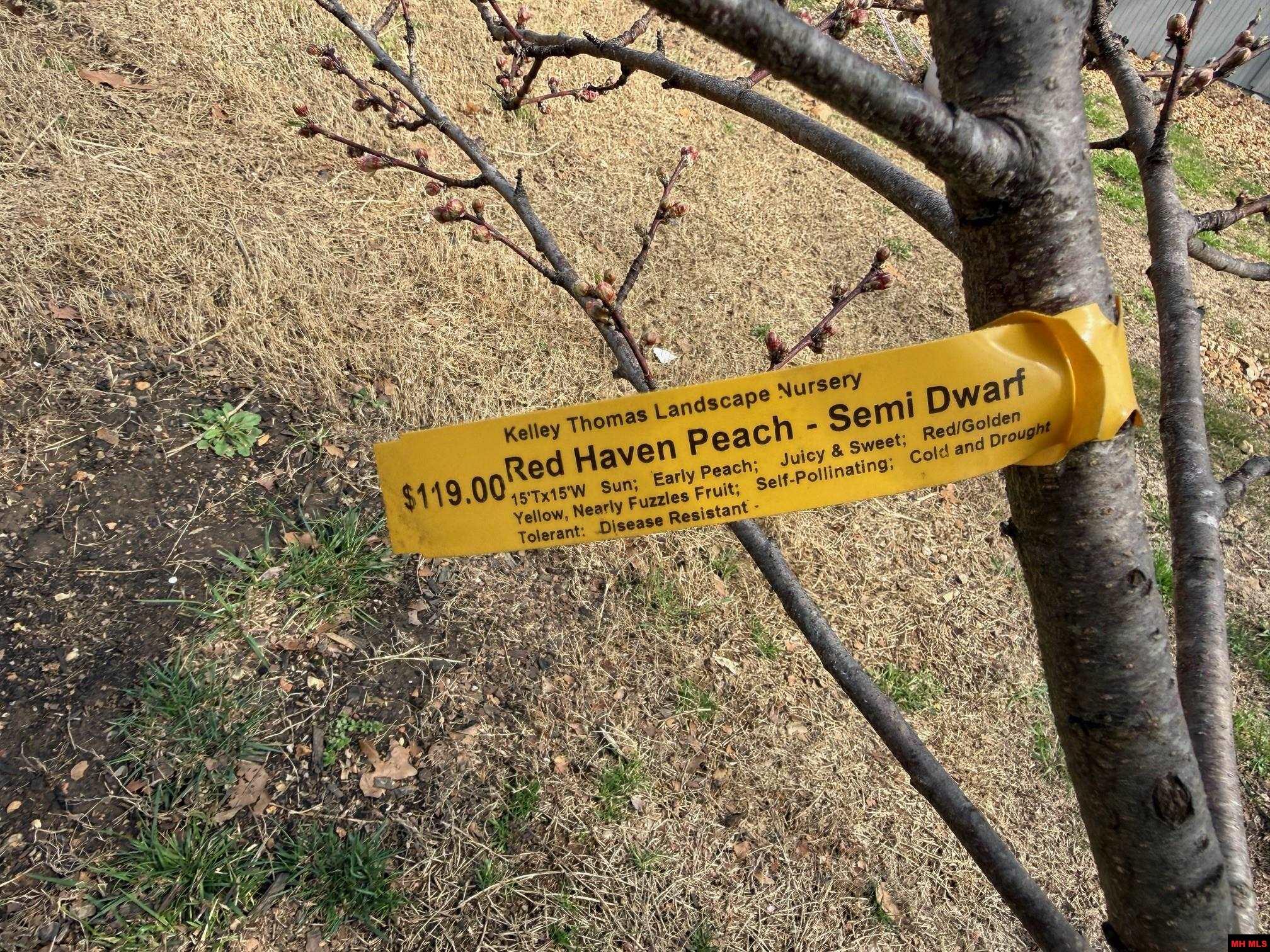 608 Wedgewood Circle