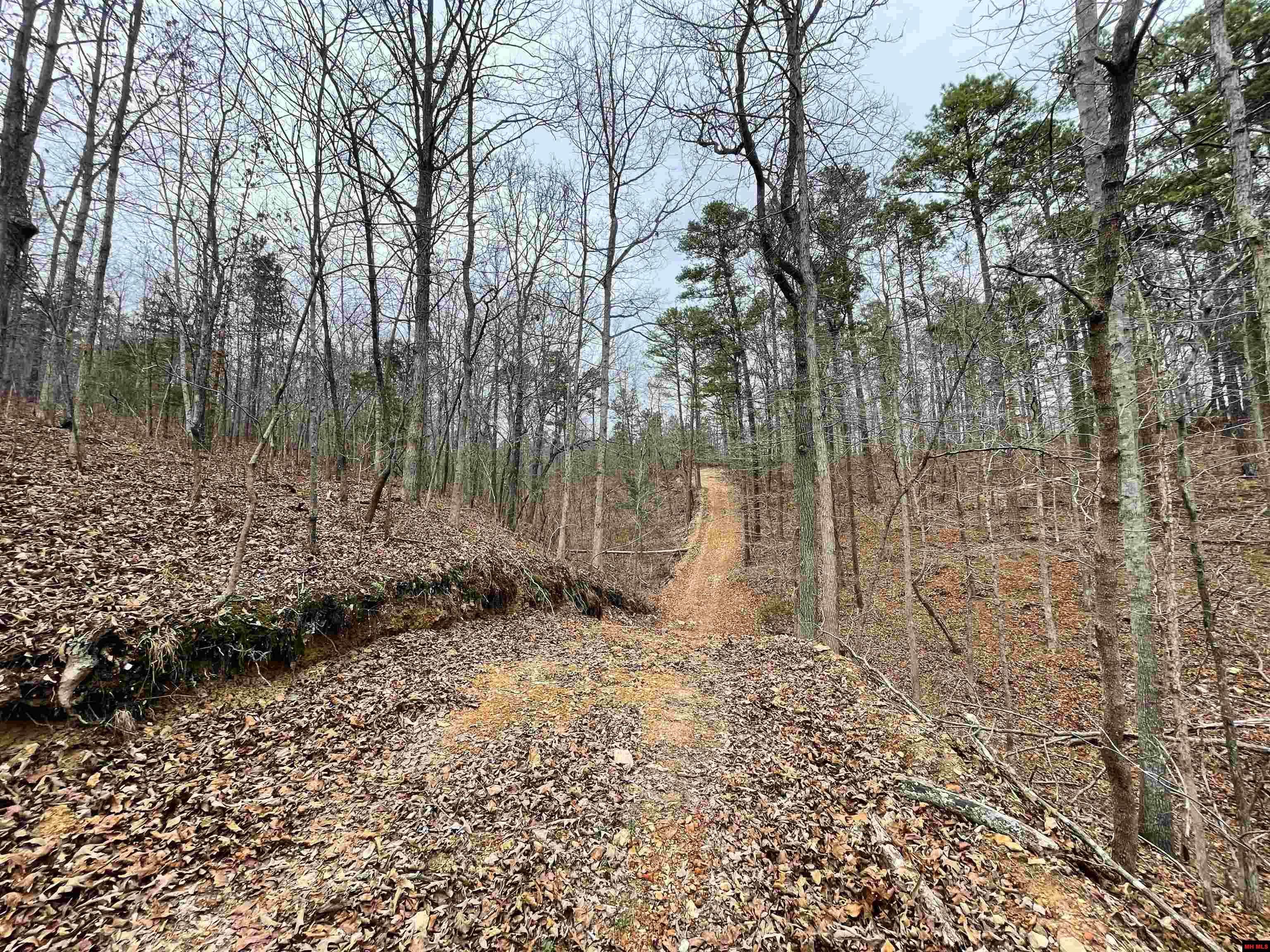 001-05451-000 Tomahawk Slab Road