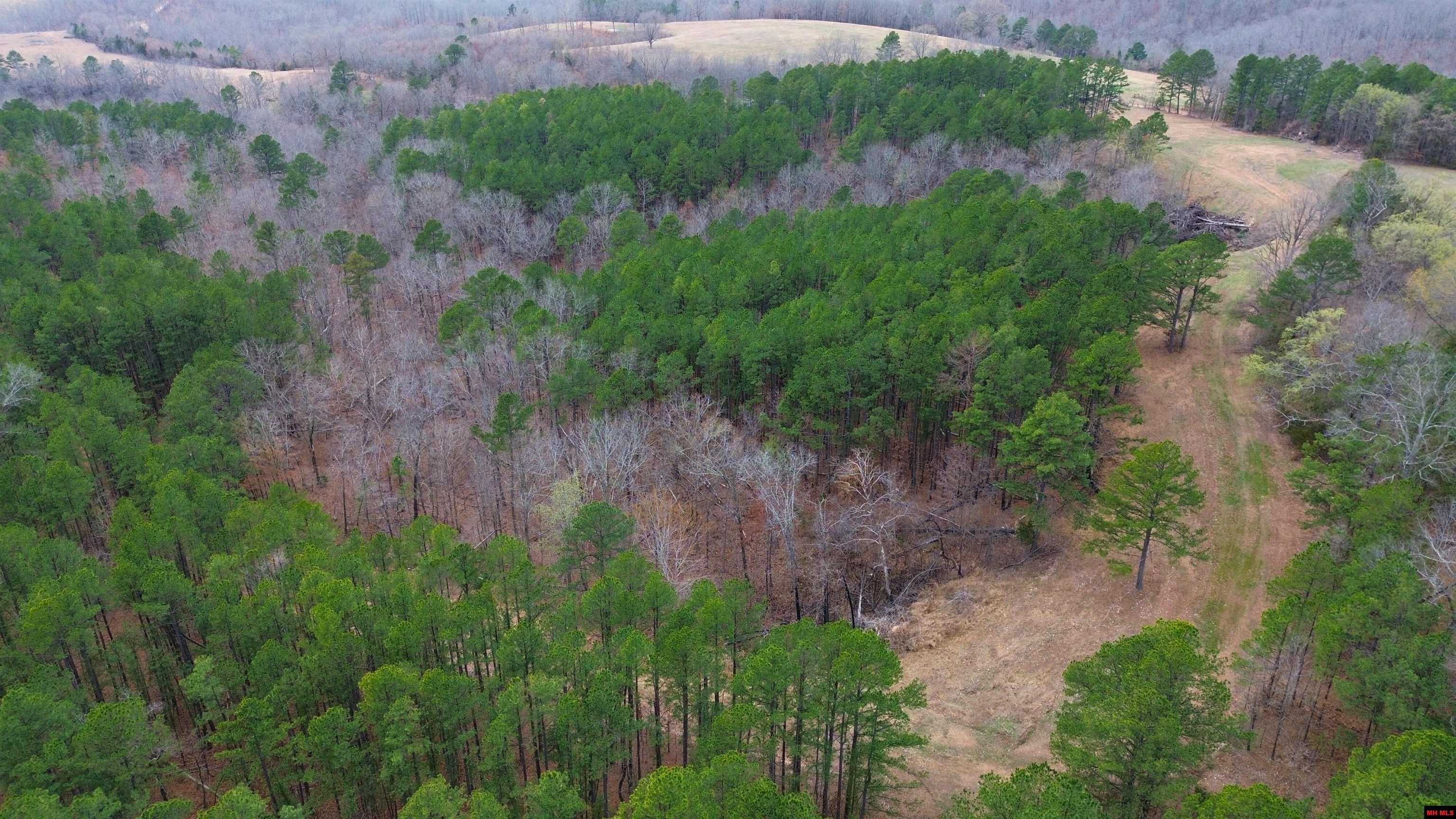 001-05451-000 Tomahawk Slab Road