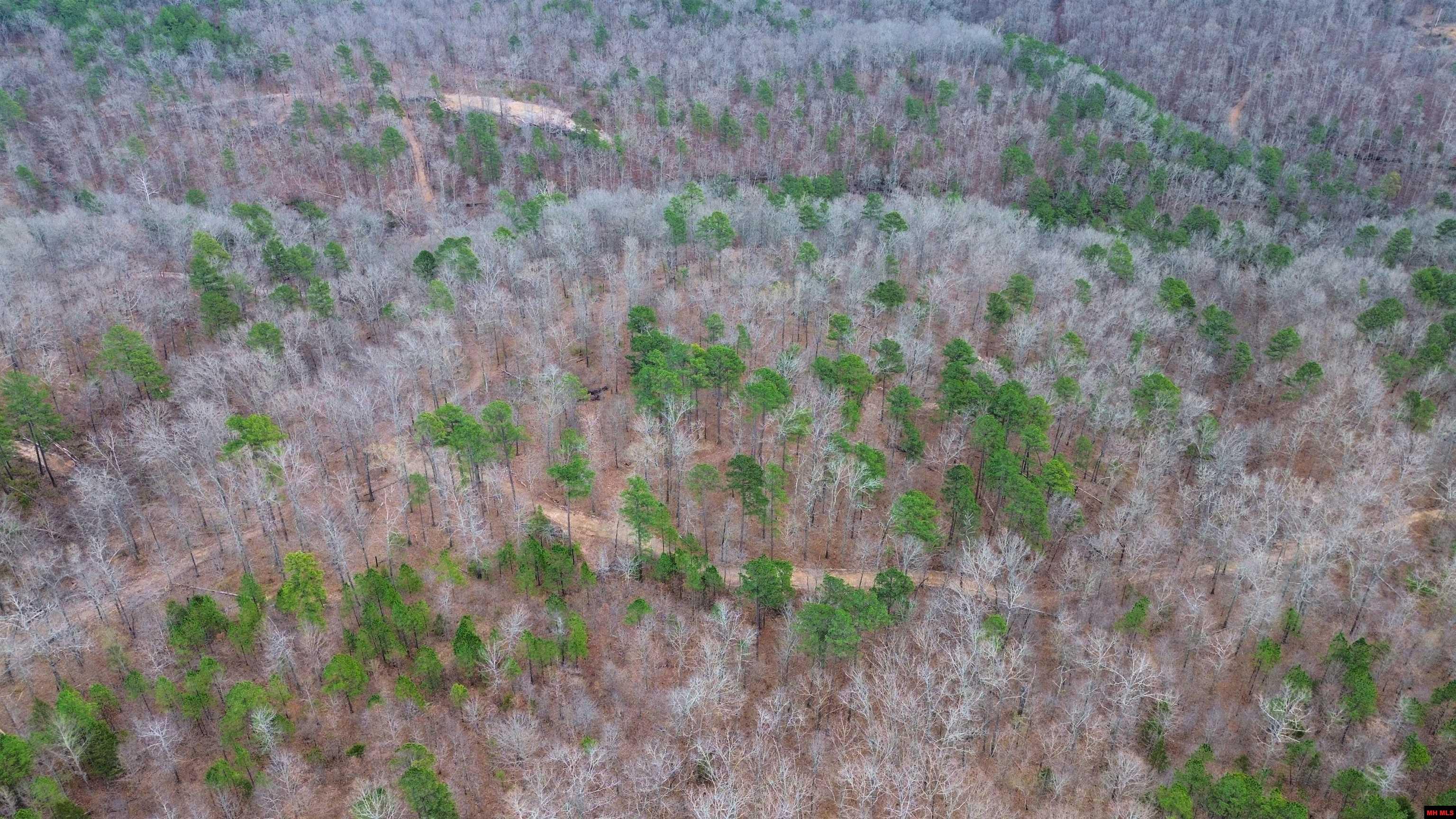 001-05451-000 Tomahawk Slab Road