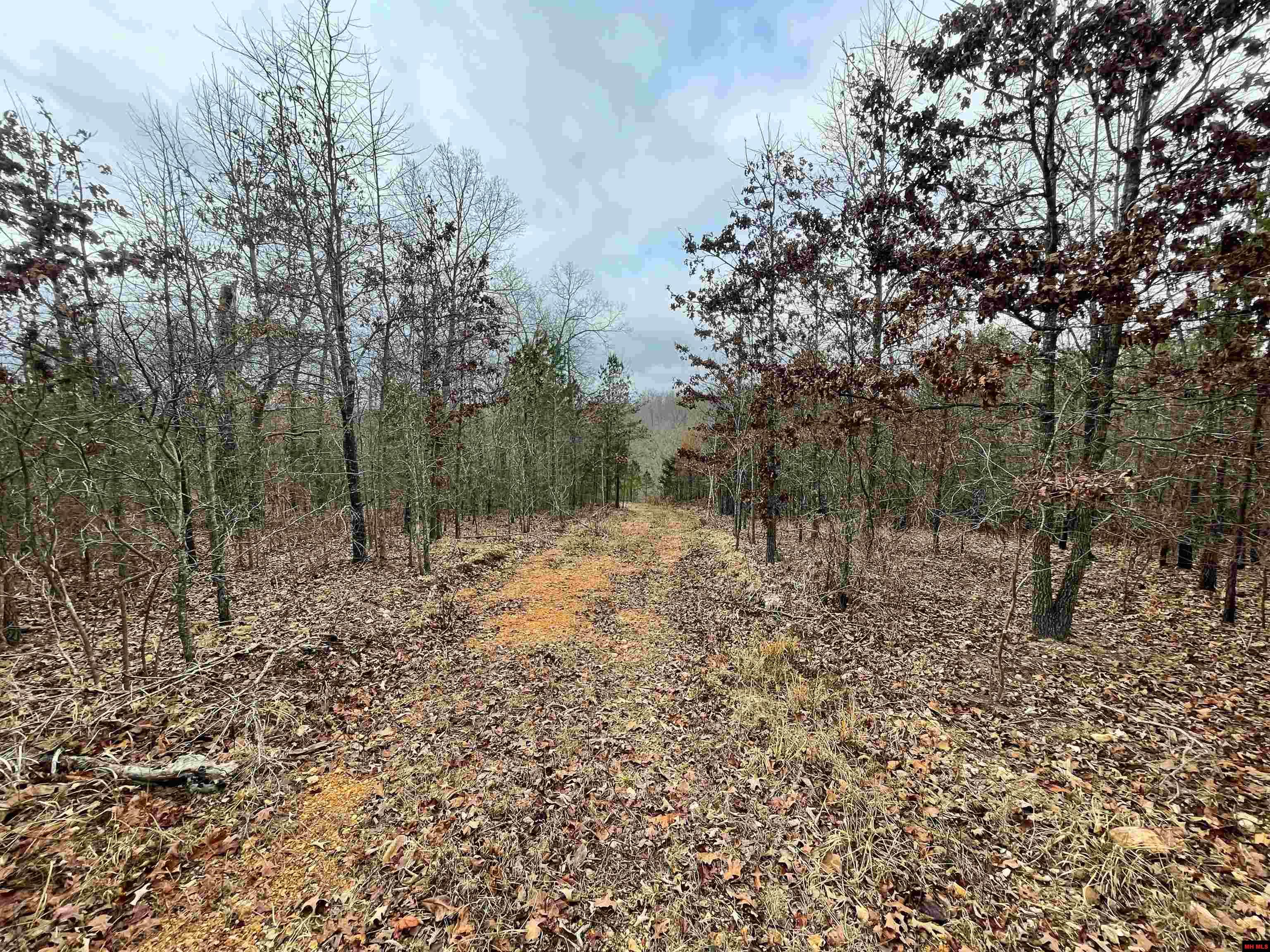 001-05451-000 Tomahawk Slab Road