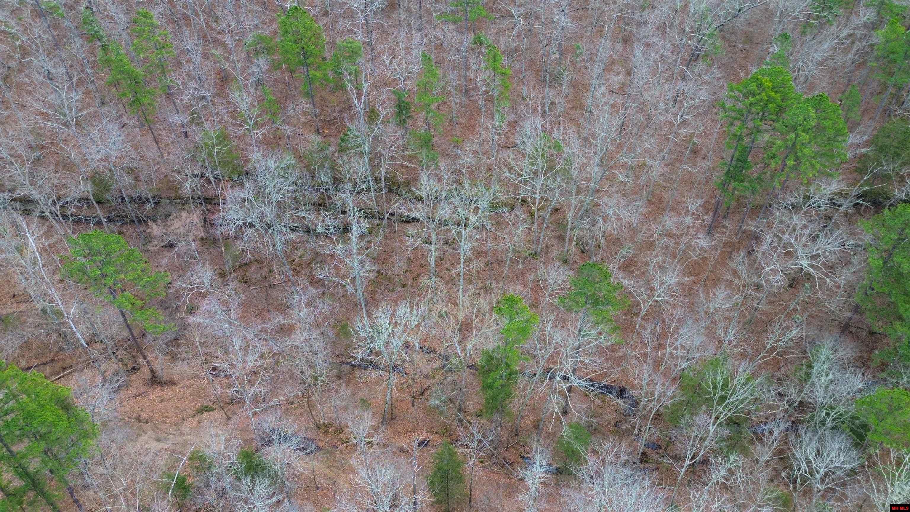 001-05451-000 Tomahawk Slab Road