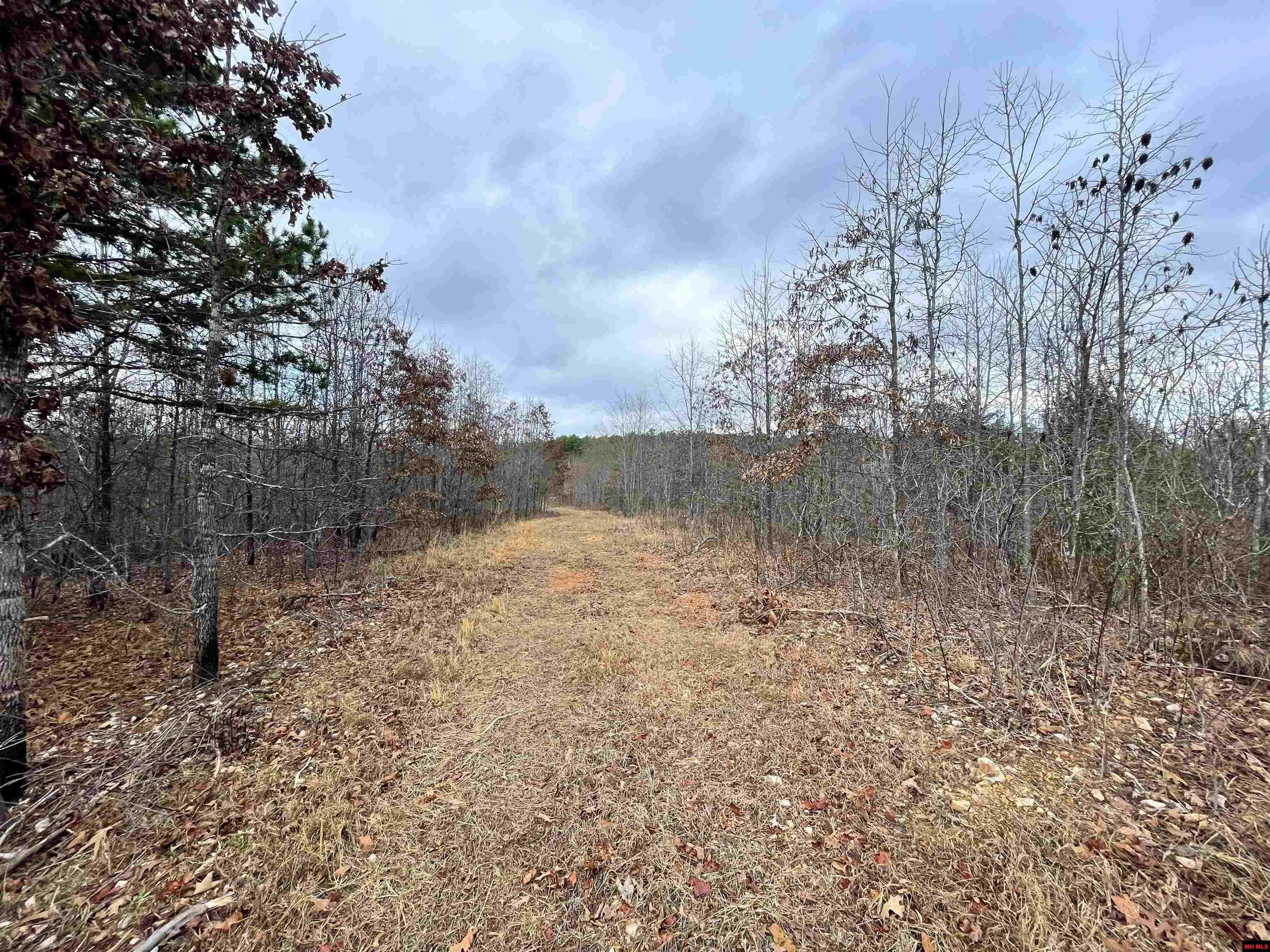 001-05451-000 Tomahawk Slab Road