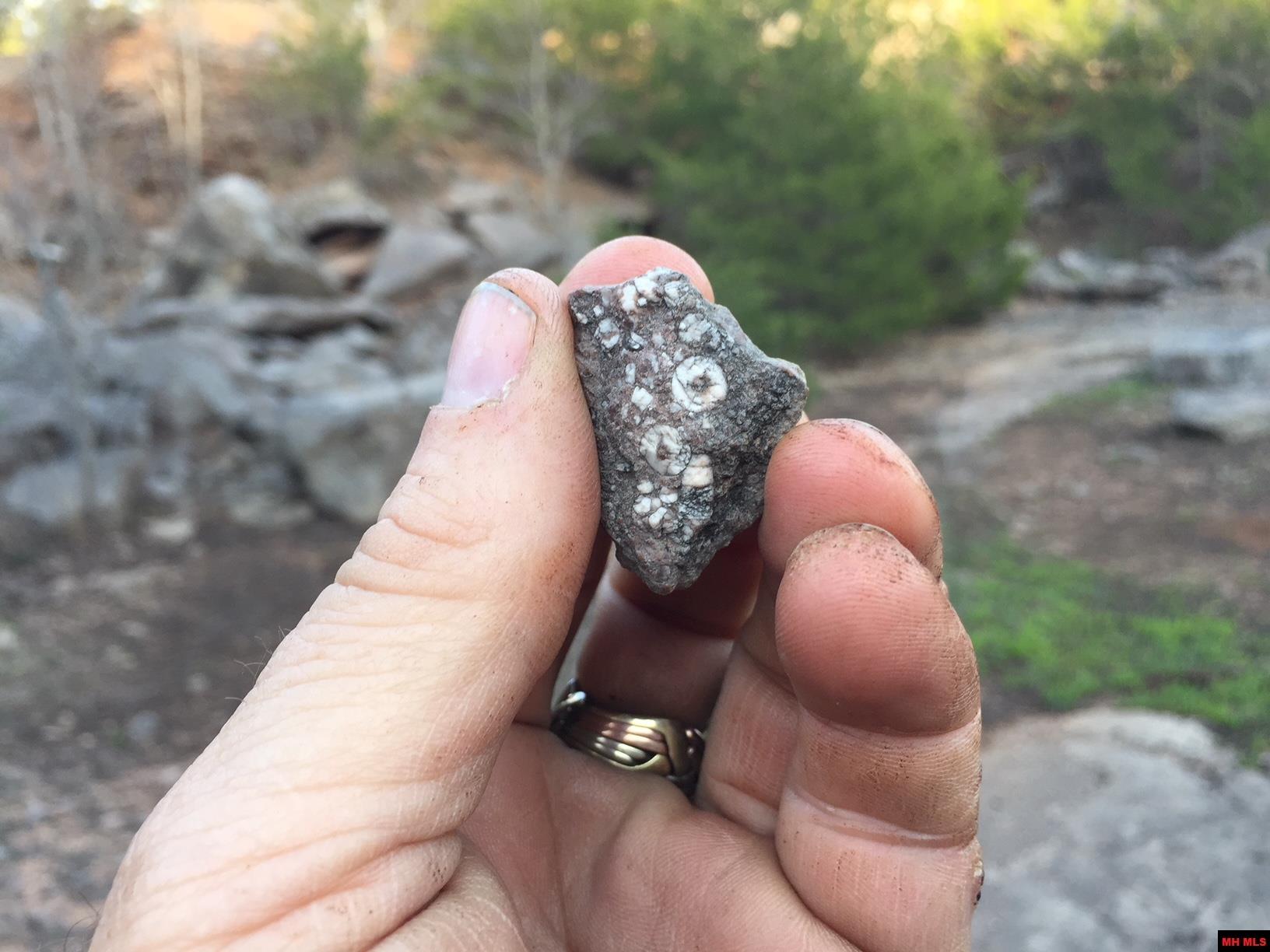 1132 Lighthouse Lane