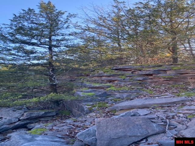 1132 Lighthouse Lane