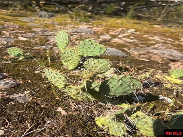 1132 Lighthouse Lane