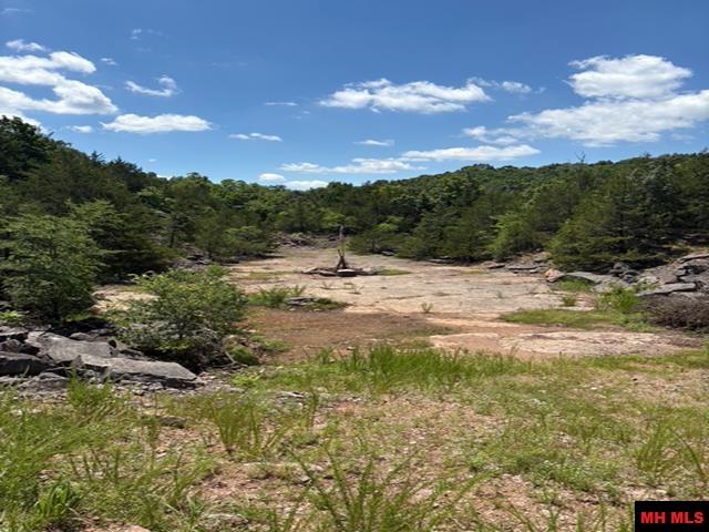 1132 Lighthouse Lane