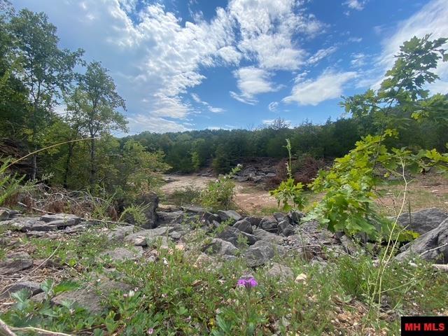 1132 Lighthouse Lane