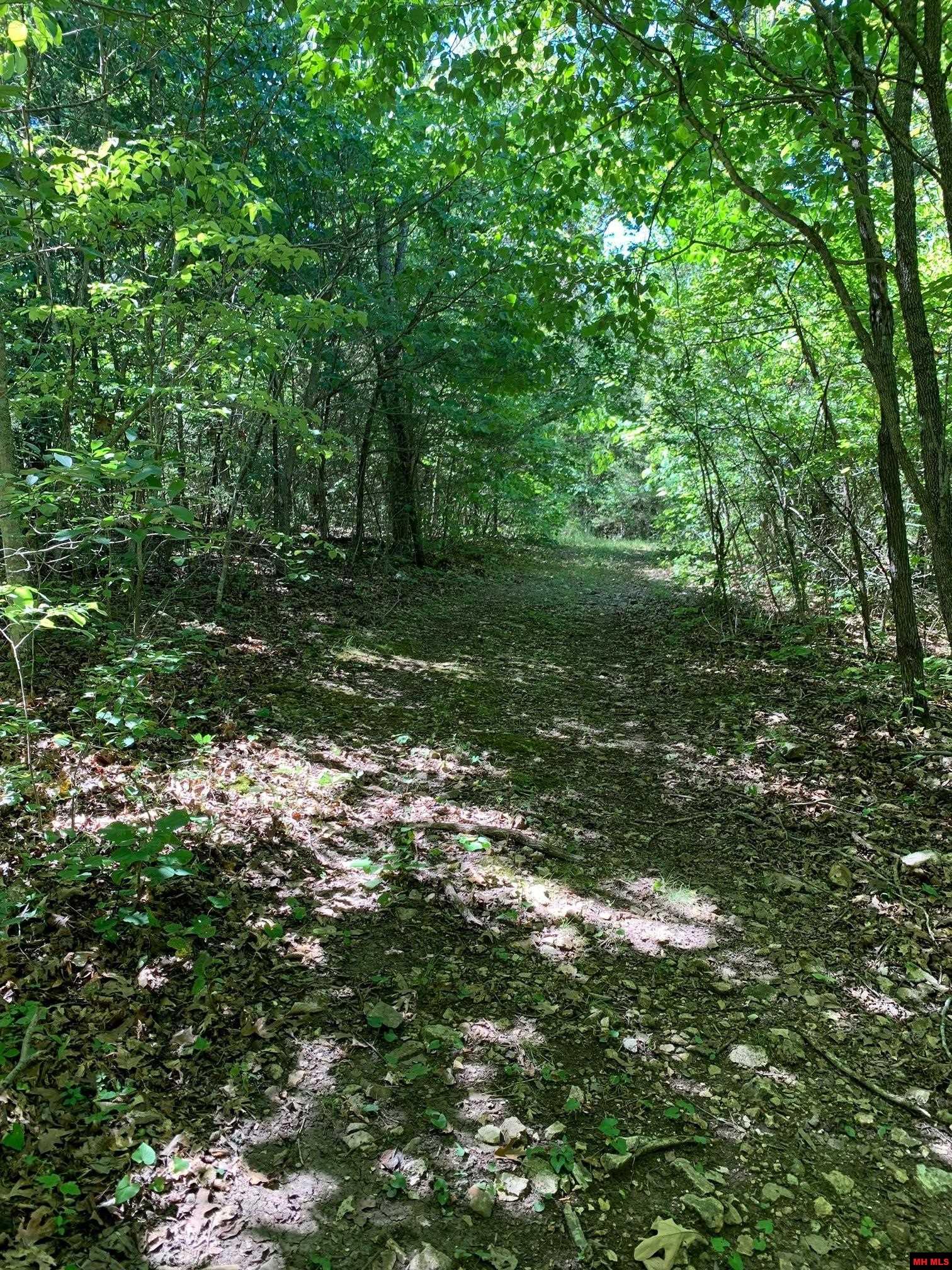 1132 Lighthouse Lane