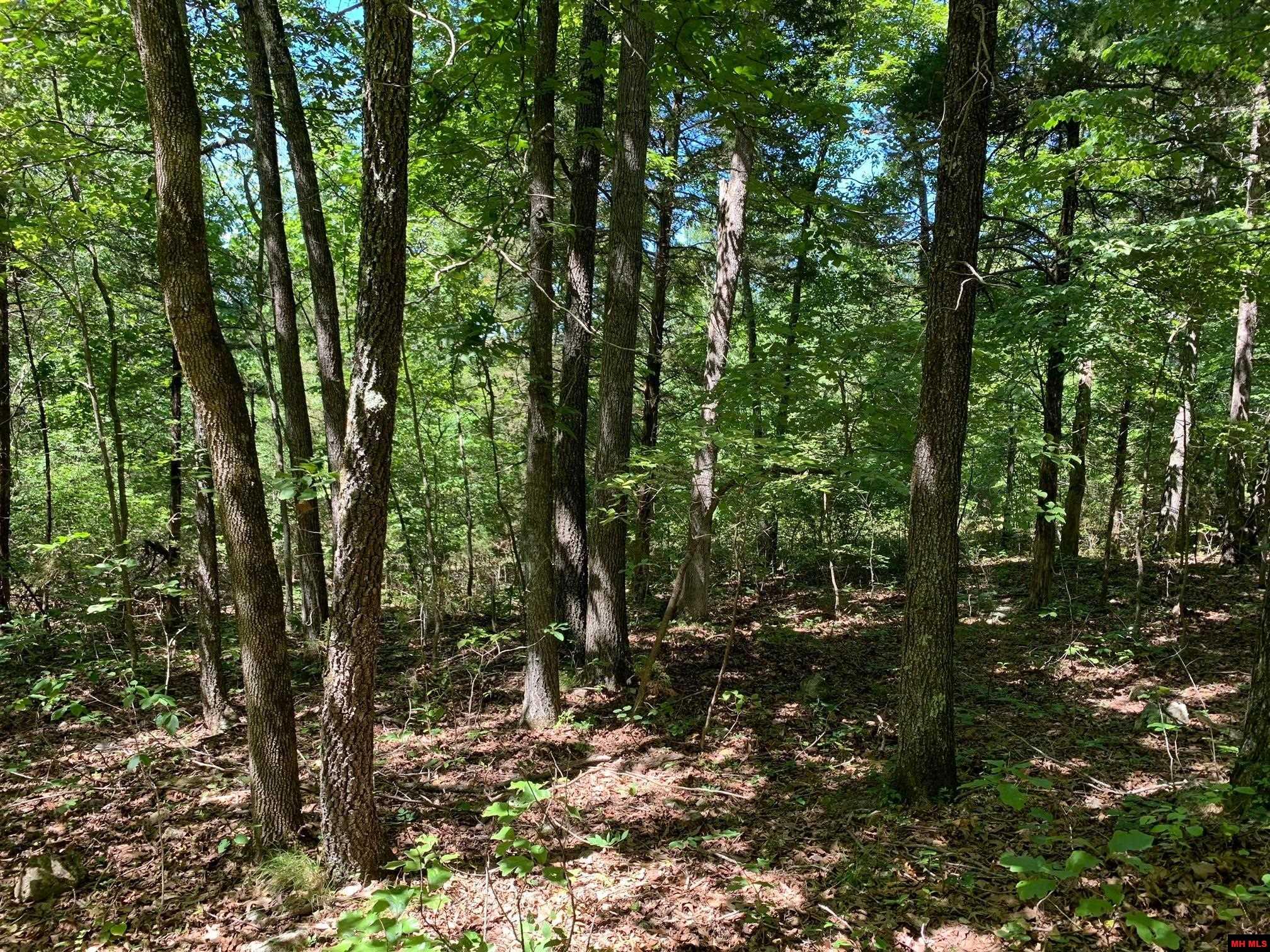 1132 Lighthouse Lane