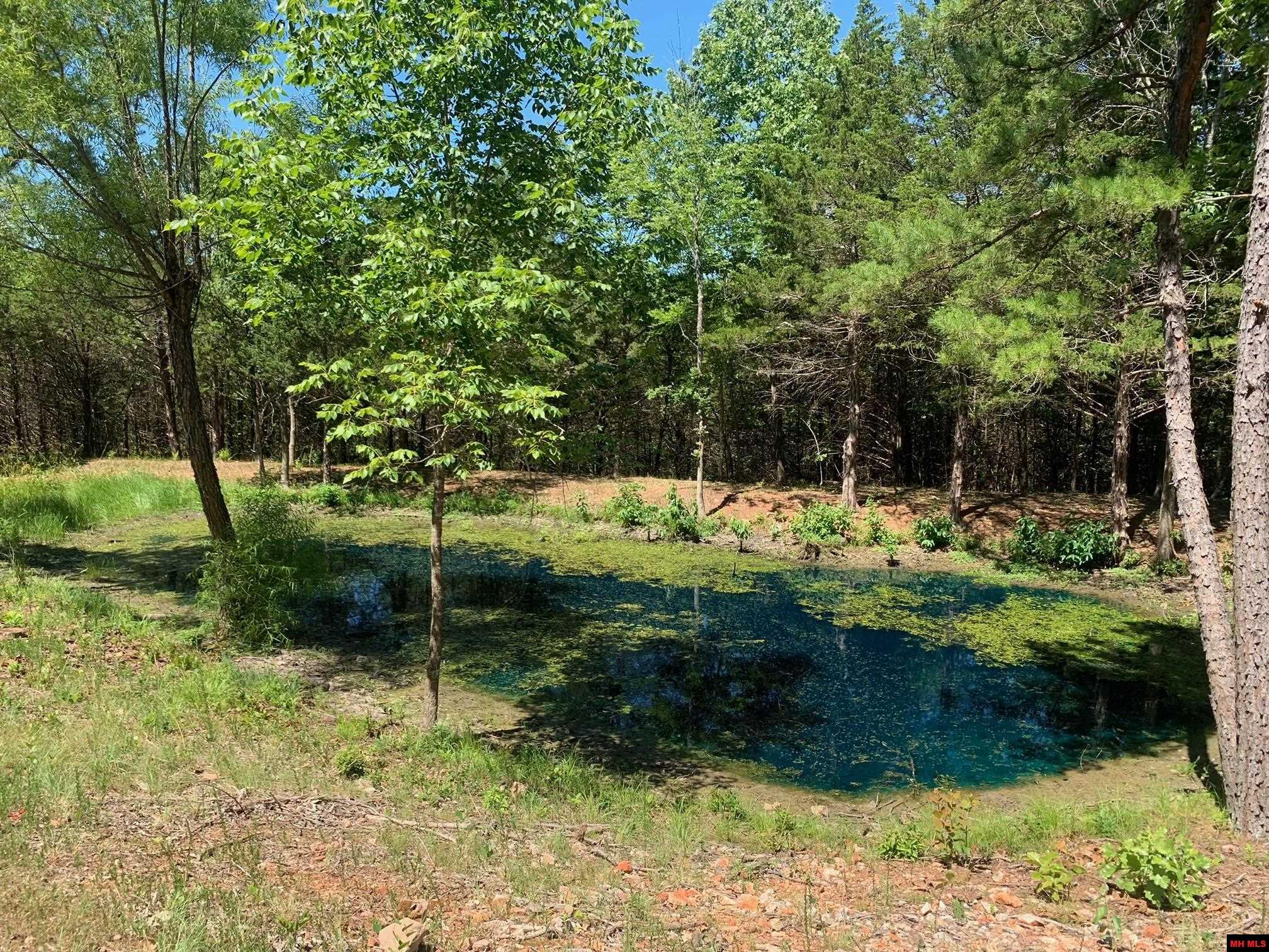 1132 Lighthouse Lane