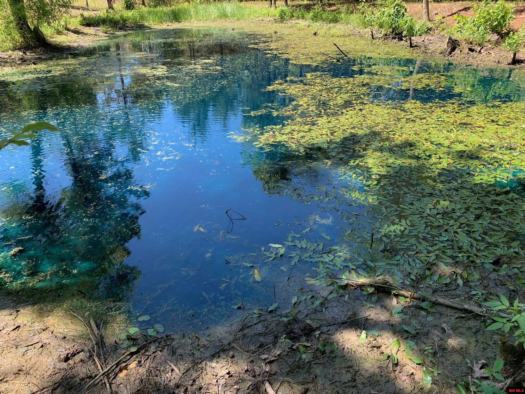 1132 Lighthouse Lane