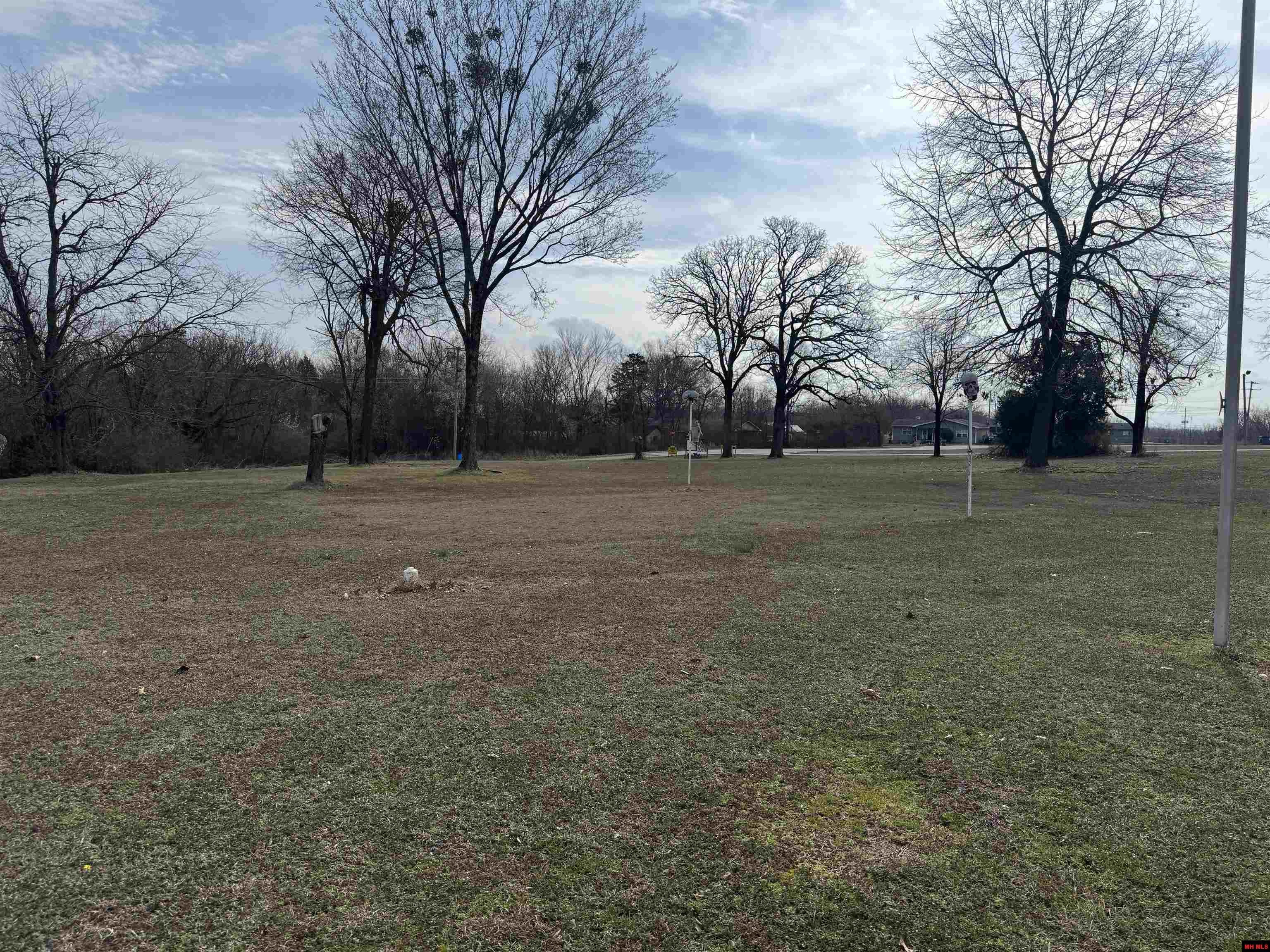 116 SNOWBALL DRIVE Gassville, AR