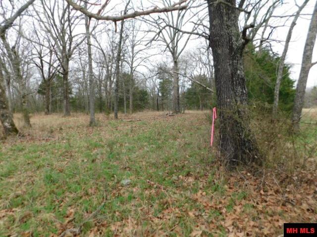 001-06205-001 Cr 784