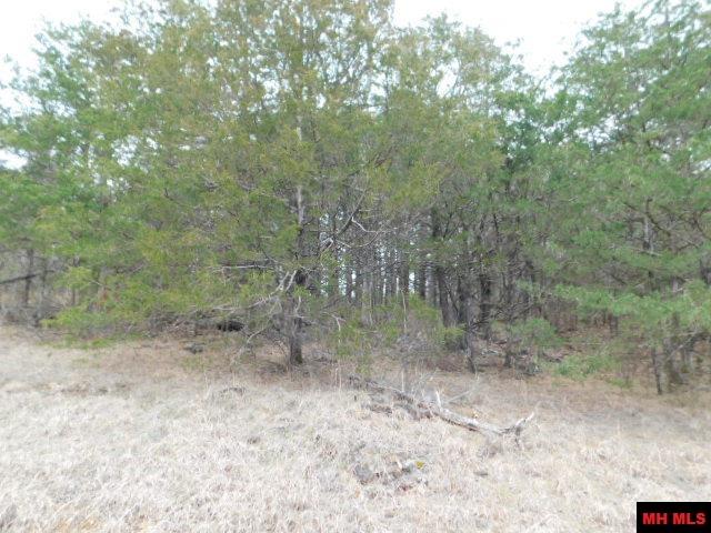 001-06205-001 Cr 784