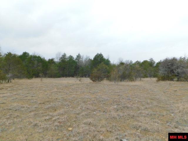 001-06205-001 Cr 784