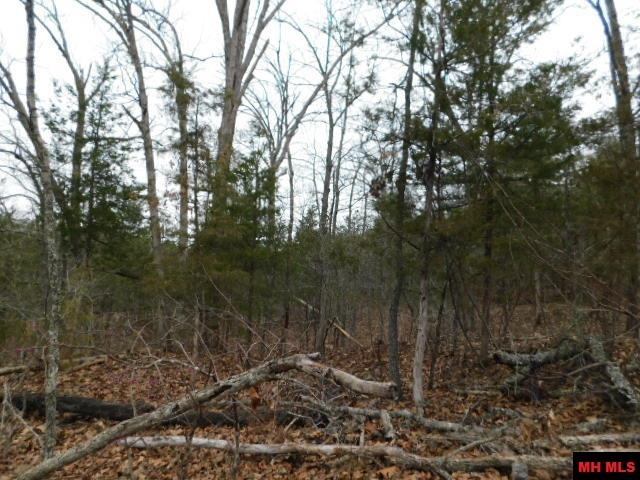 001-06205-001 Cr 784