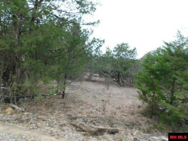 001-06205-001 Cr 784