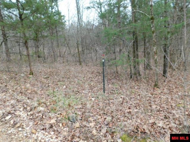 1117 CR 784 Mountain Home, AR