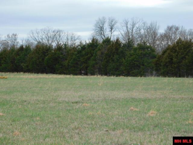 1117 CR 784 Mountain Home, AR