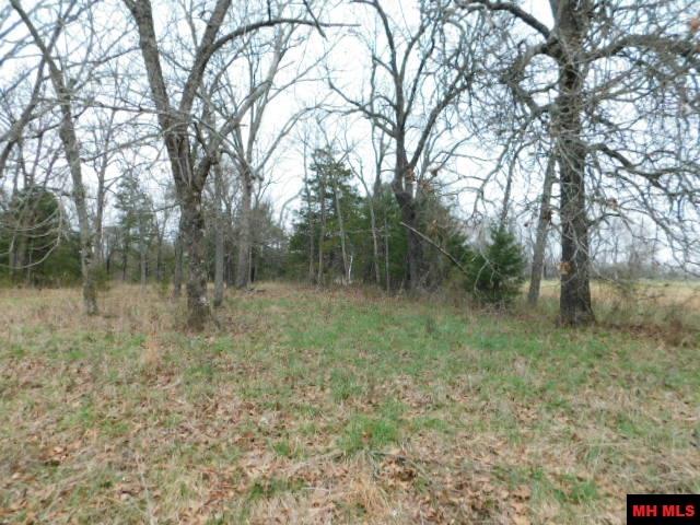 1117 CR 784 Mountain Home, AR