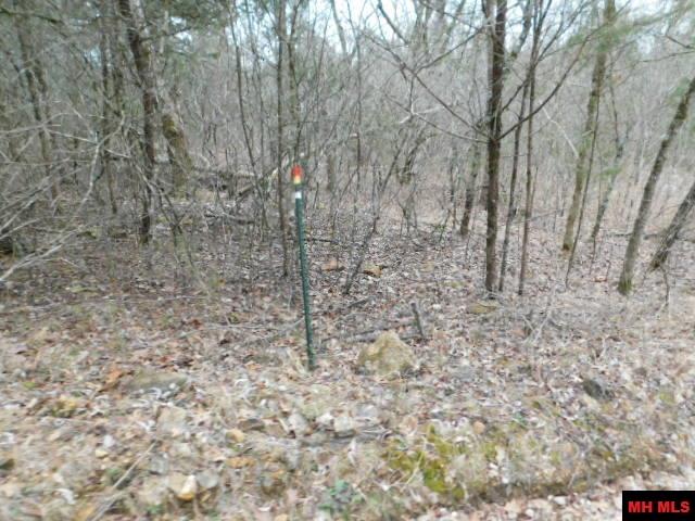 1117 CR 784 Mountain Home, AR