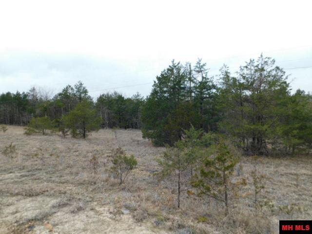 1117 CR 784 Mountain Home, AR