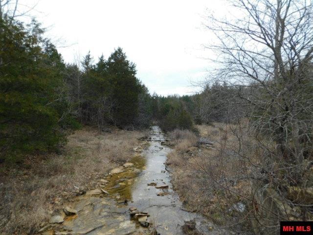 1117 CR 784 Mountain Home, AR