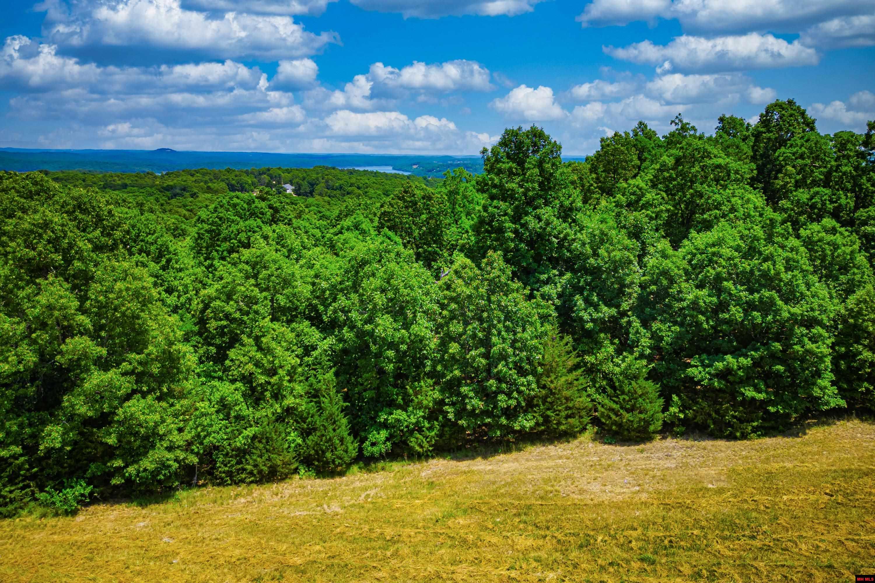 Lots 69-70 Swiss Mountain Drive