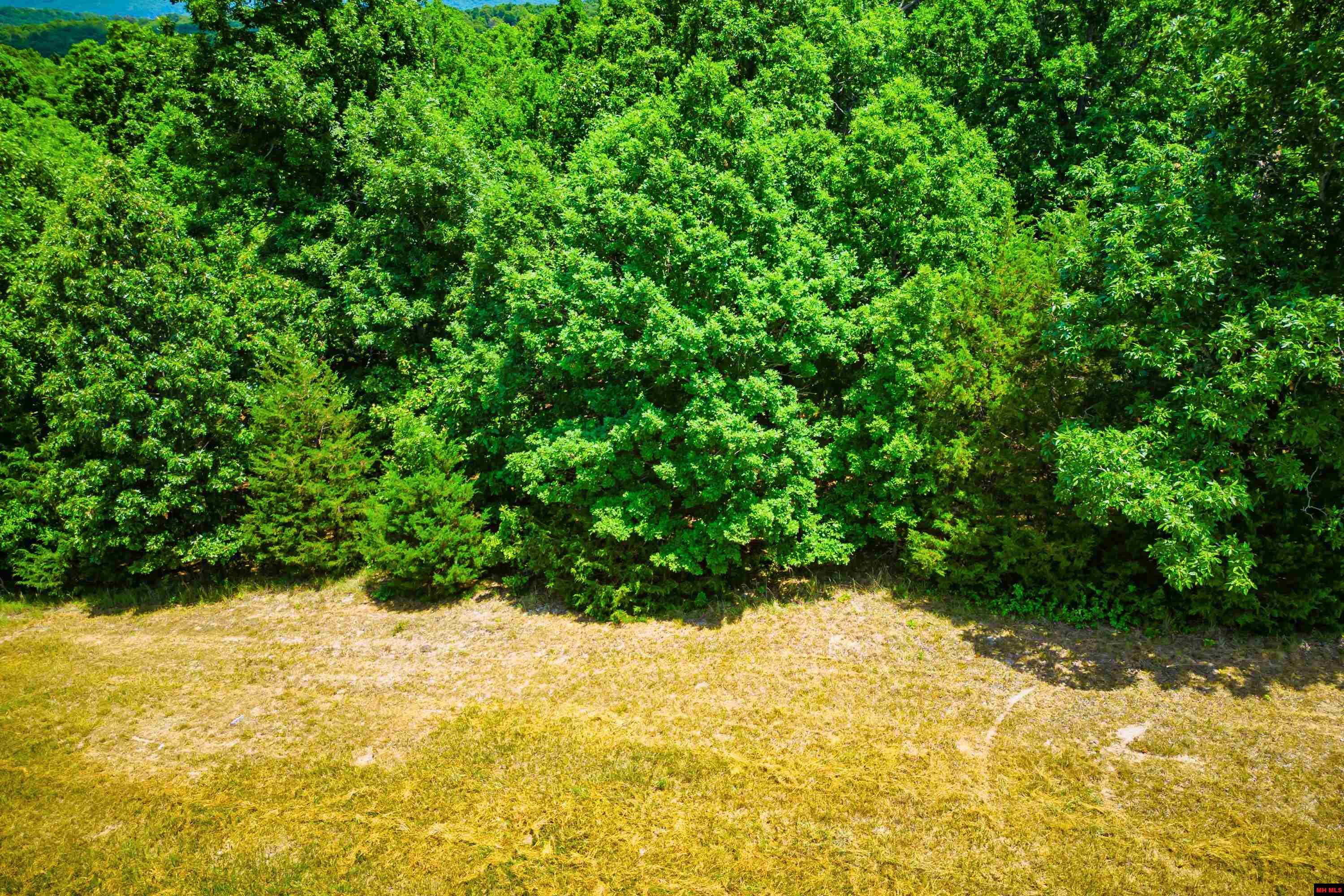 Lots 69-70 Swiss Mountain Drive