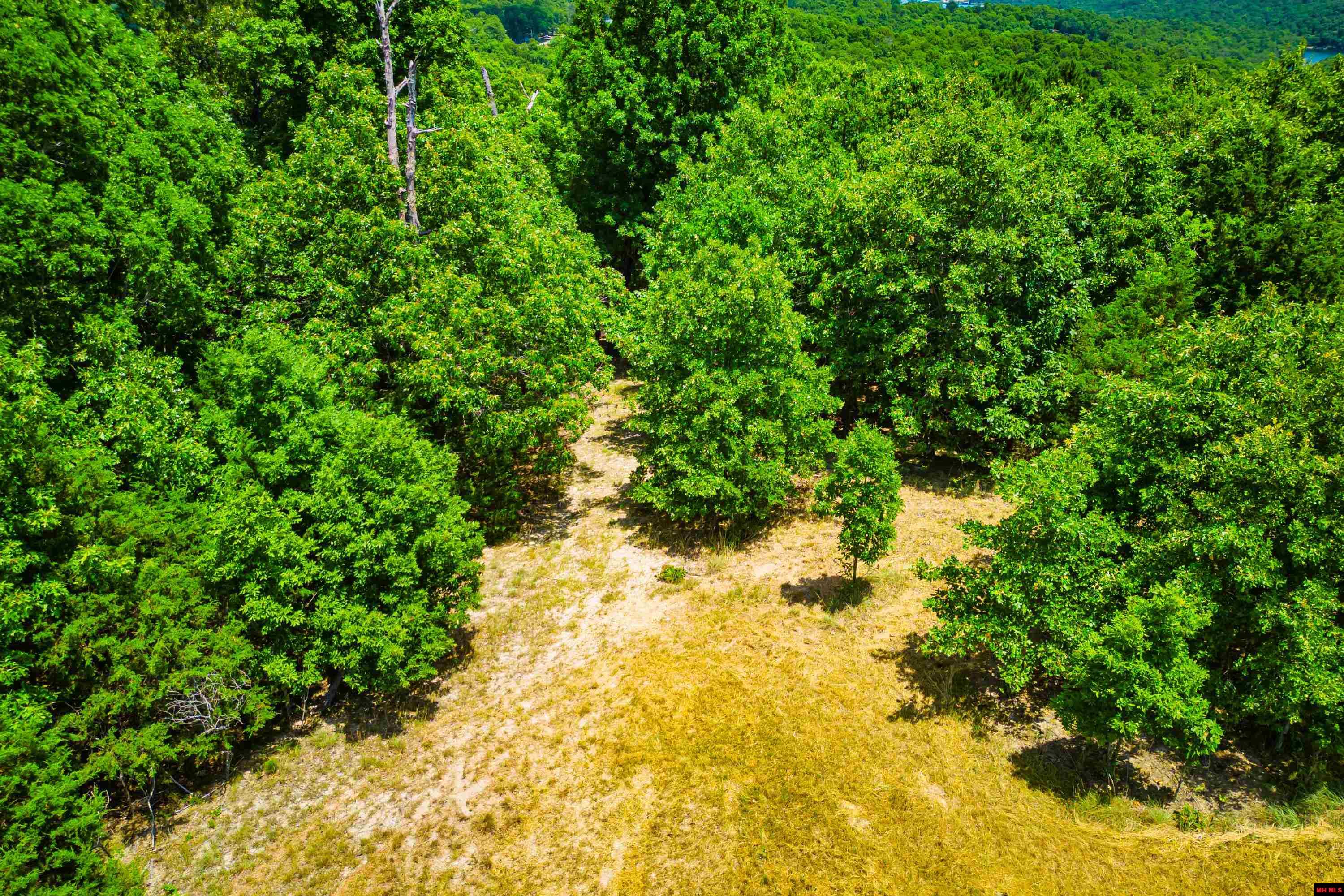 Lots 69-70 Swiss Mountain Drive