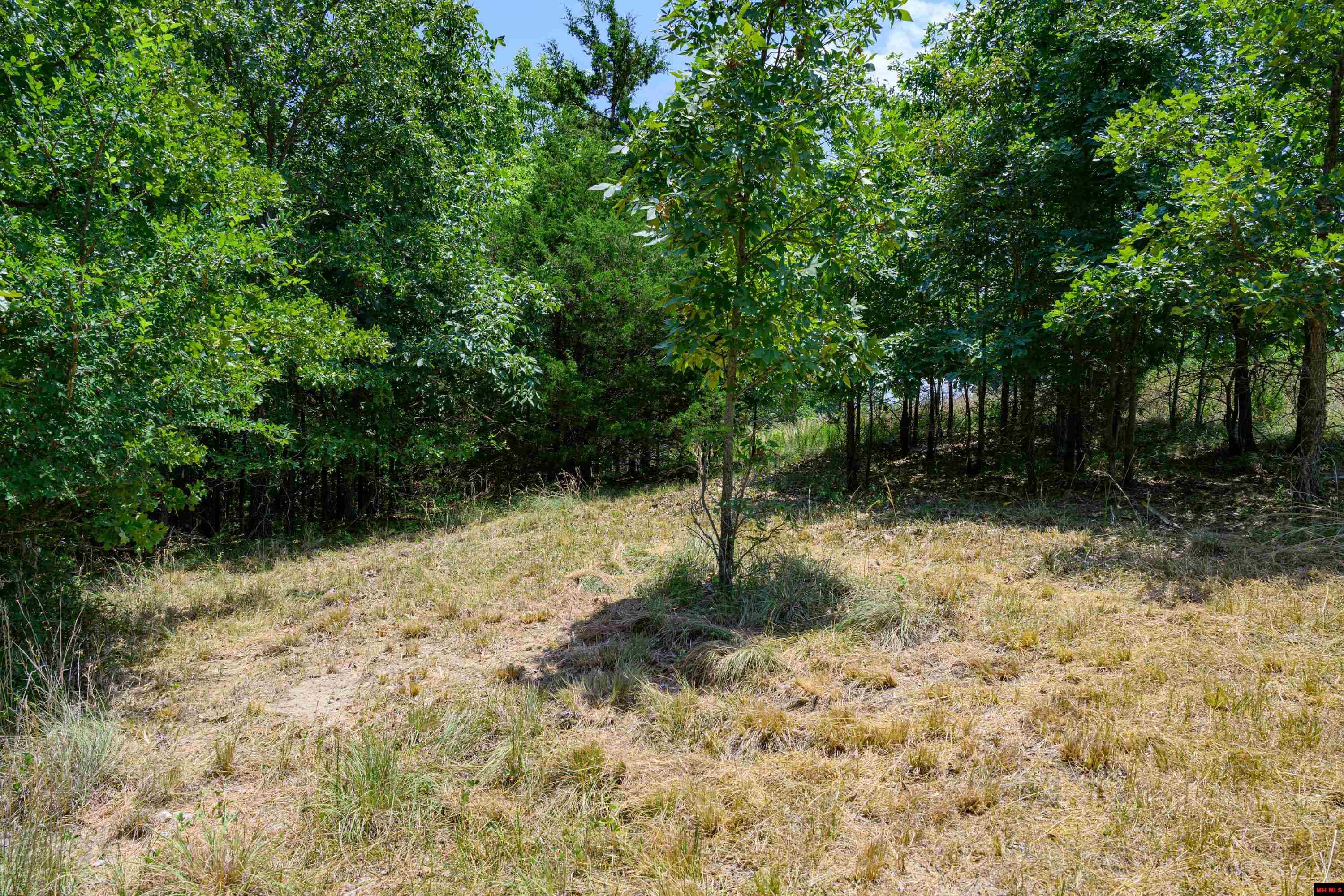 Lots 69-70 Swiss Mountain Drive