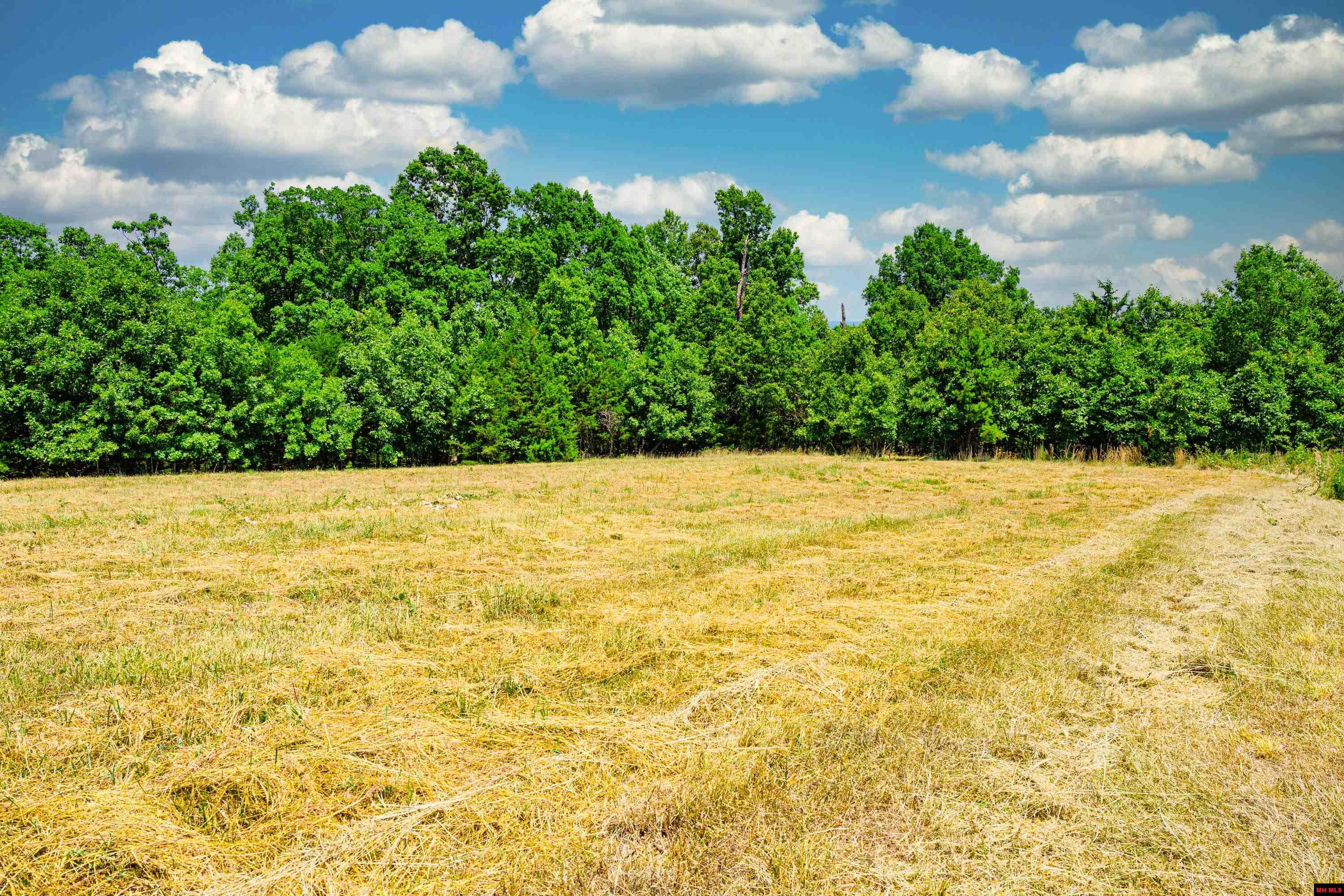 Lots 69-70 Swiss Mountain Drive