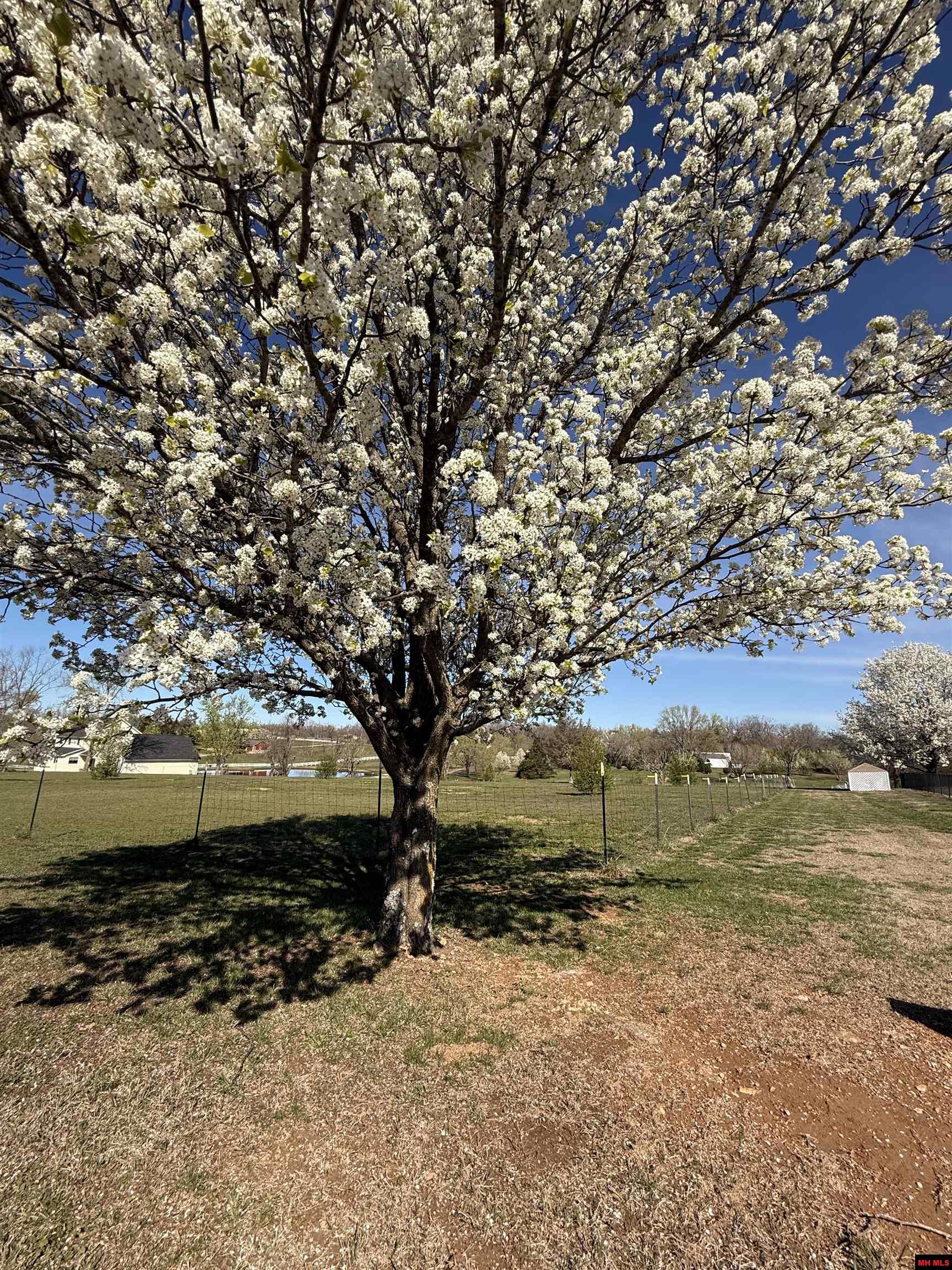 Lot 10 Canvasback Court