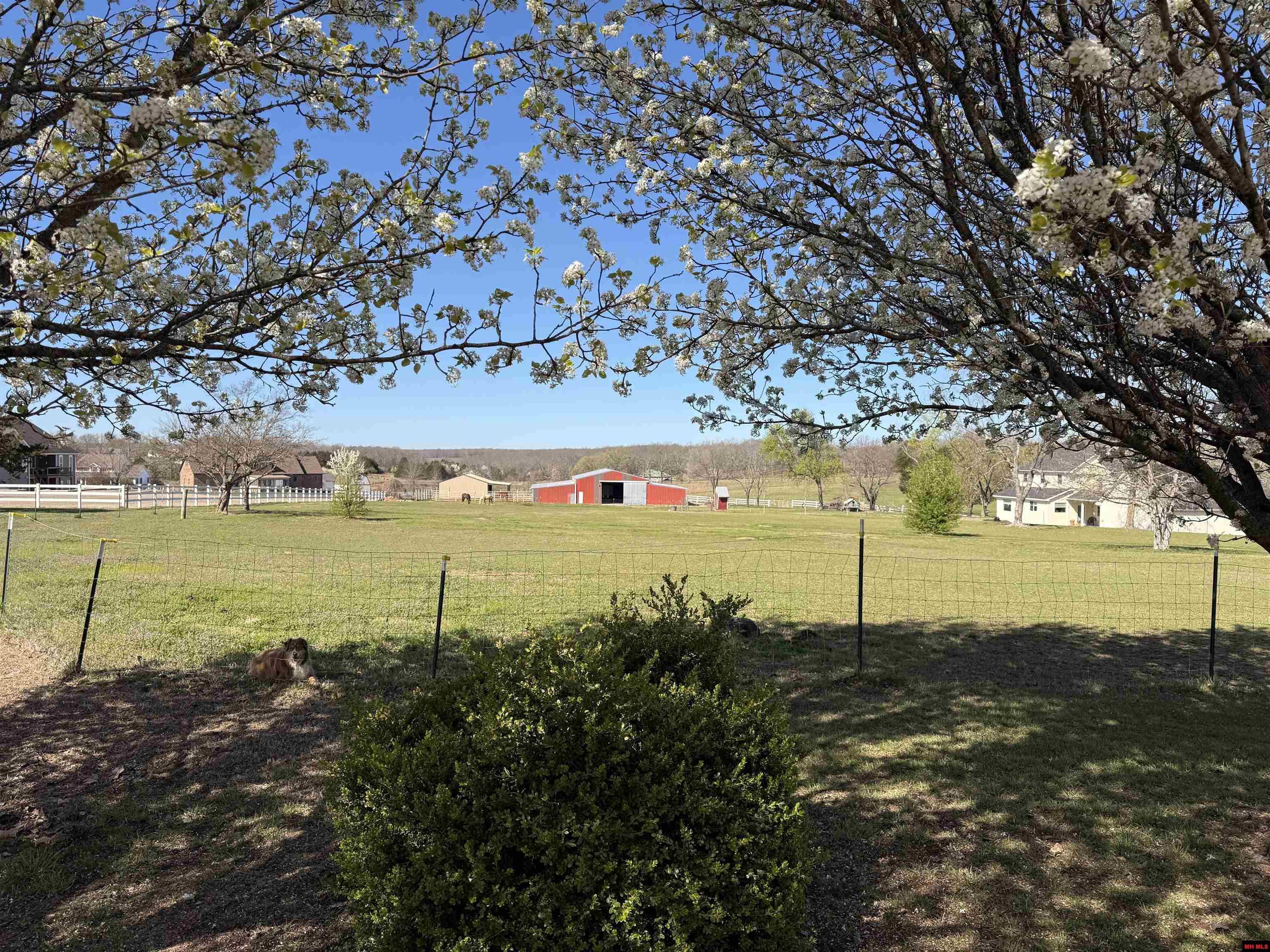 Lot 10 Canvasback Court