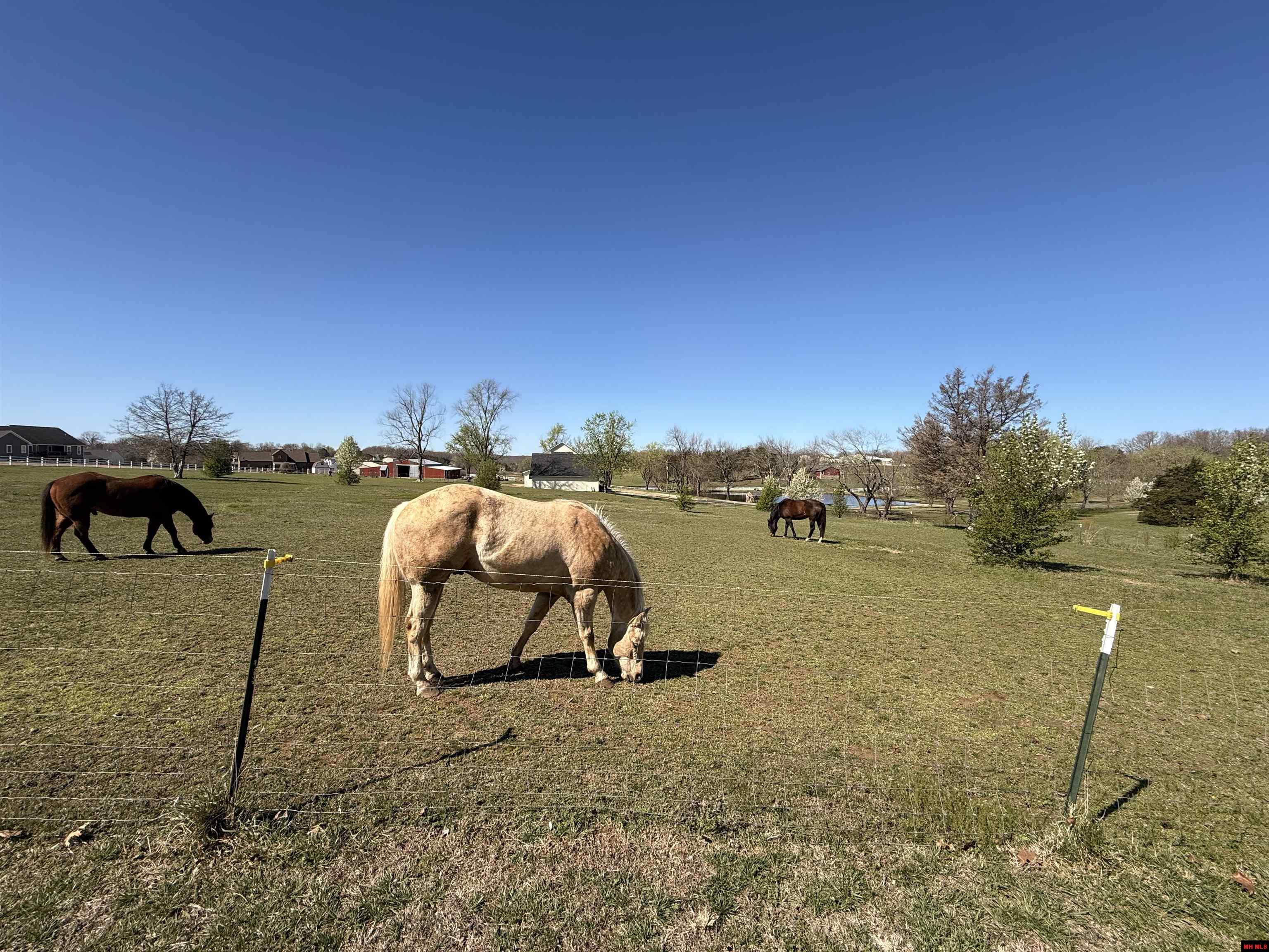Lot 10 Canvasback Court